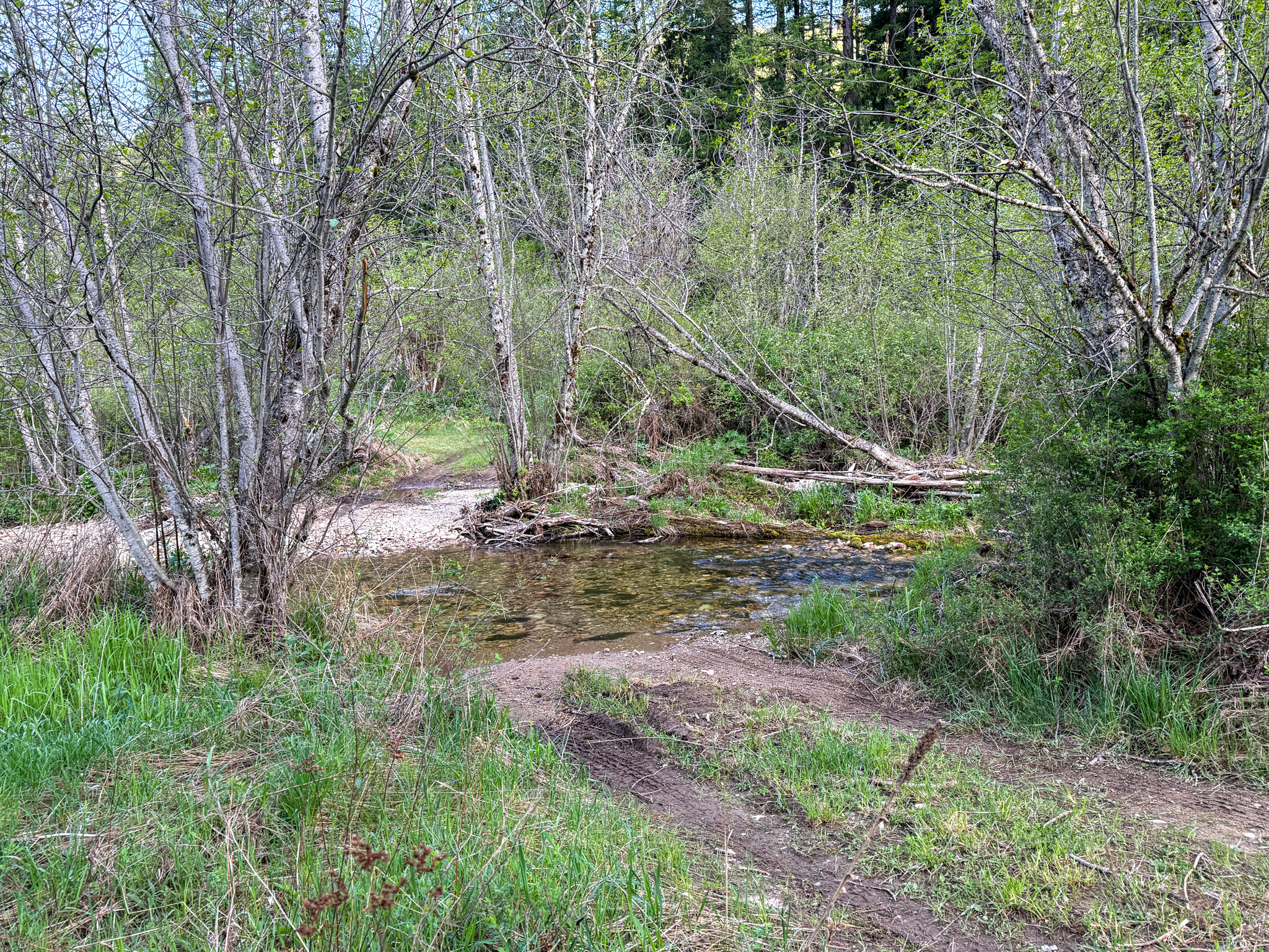 168 Hope Valley Road Property Photo 35
