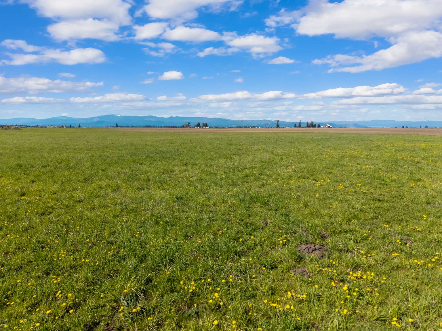 1128 Tree Farm Road Property Photo 6