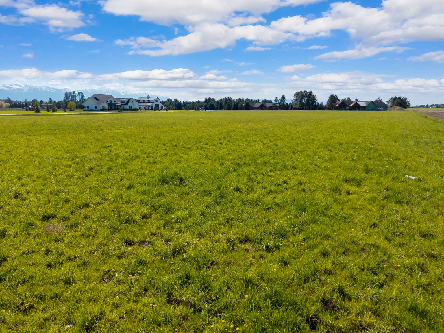 1128 Tree Farm Road Property Photo 8