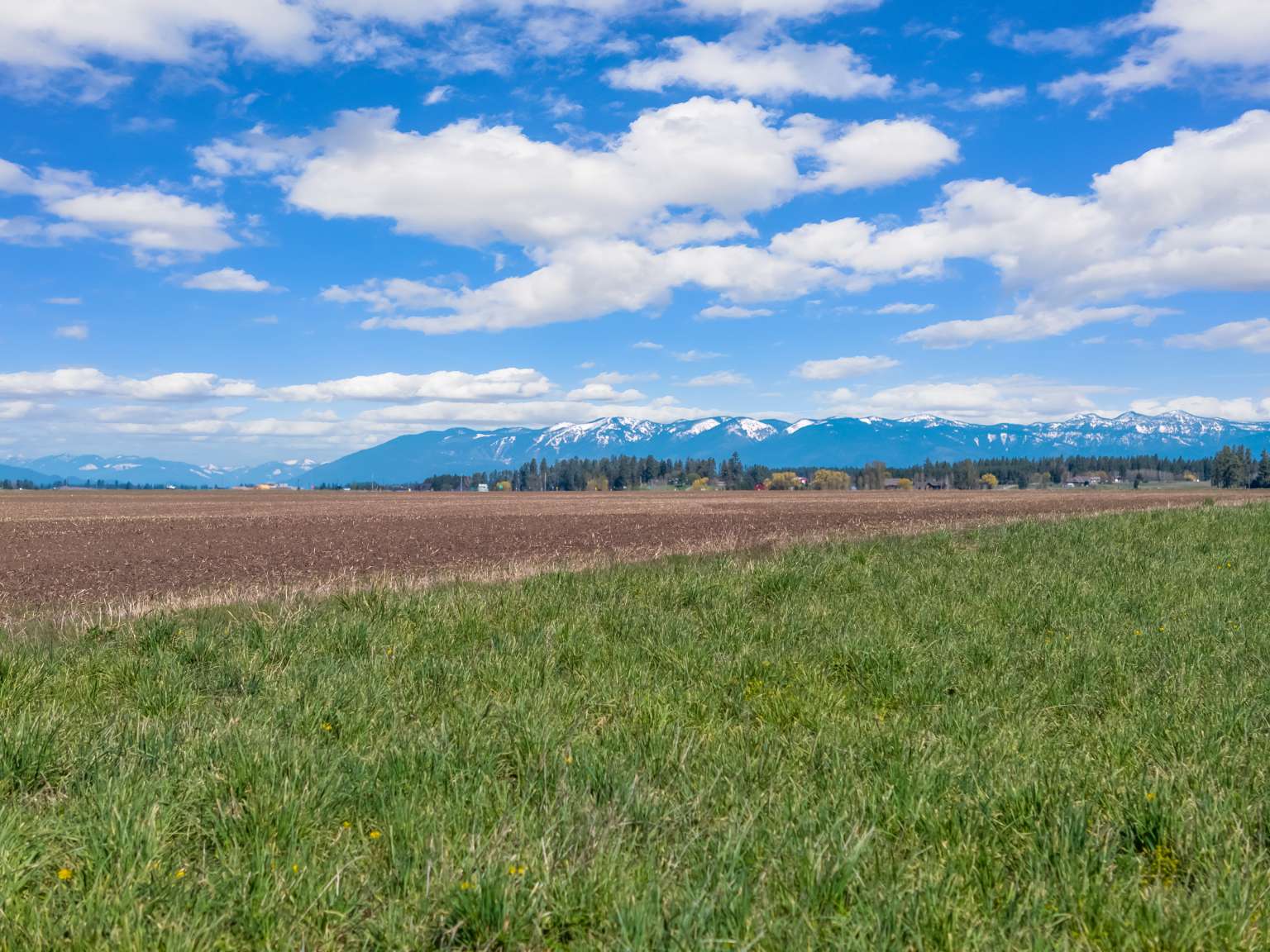 1128 Tree Farm Road Property Photo 11