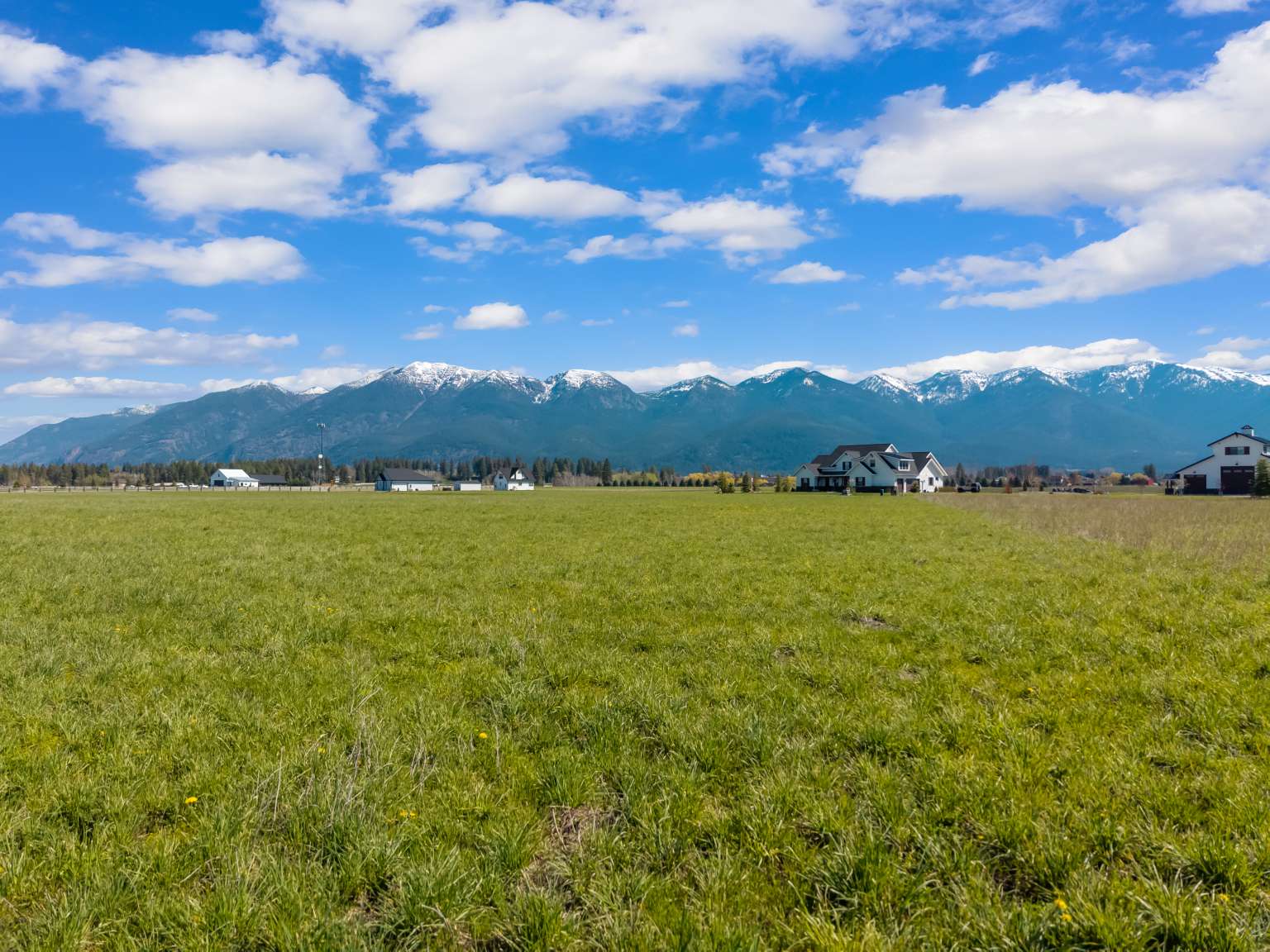 1128 Tree Farm Road Property Photo 12
