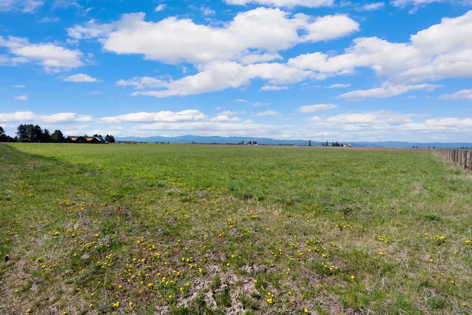 1128 Tree Farm Road Property Photo 24