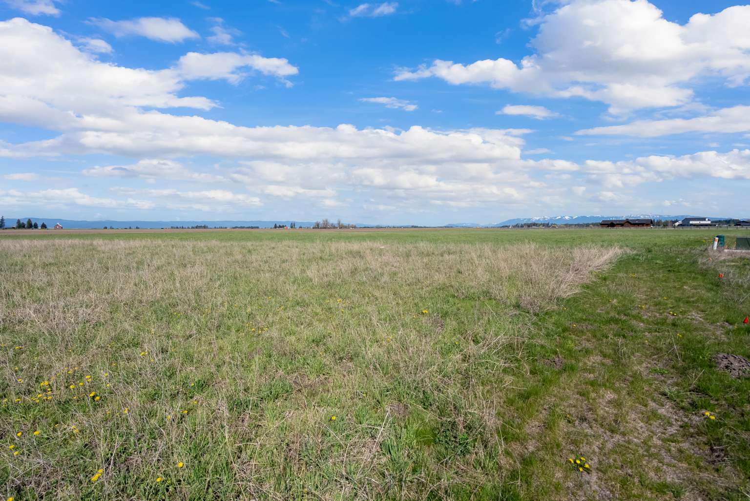 1128 Tree Farm Road Property Photo 26