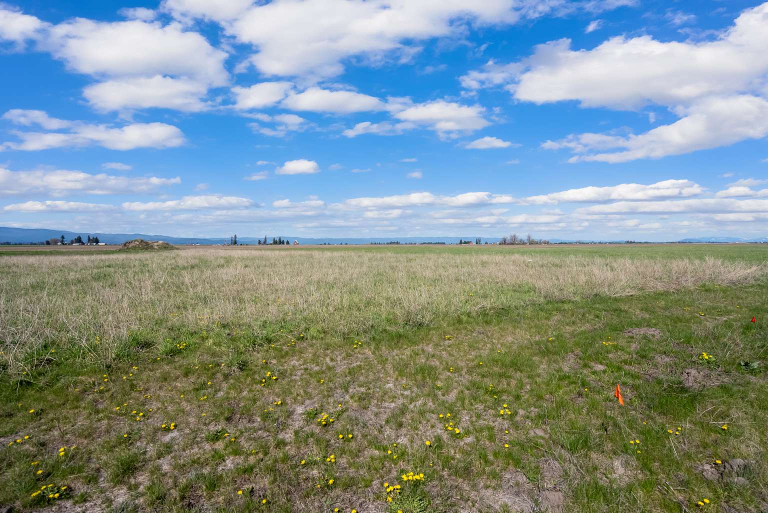 1128 Tree Farm Road Property Photo 27