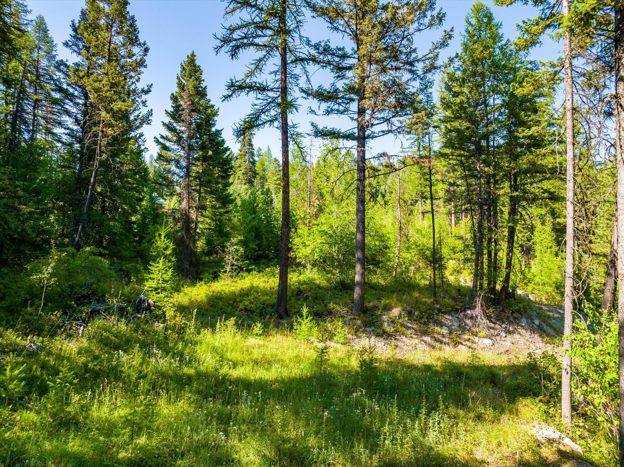 2255 Ashley Lake Road Property Photo 6