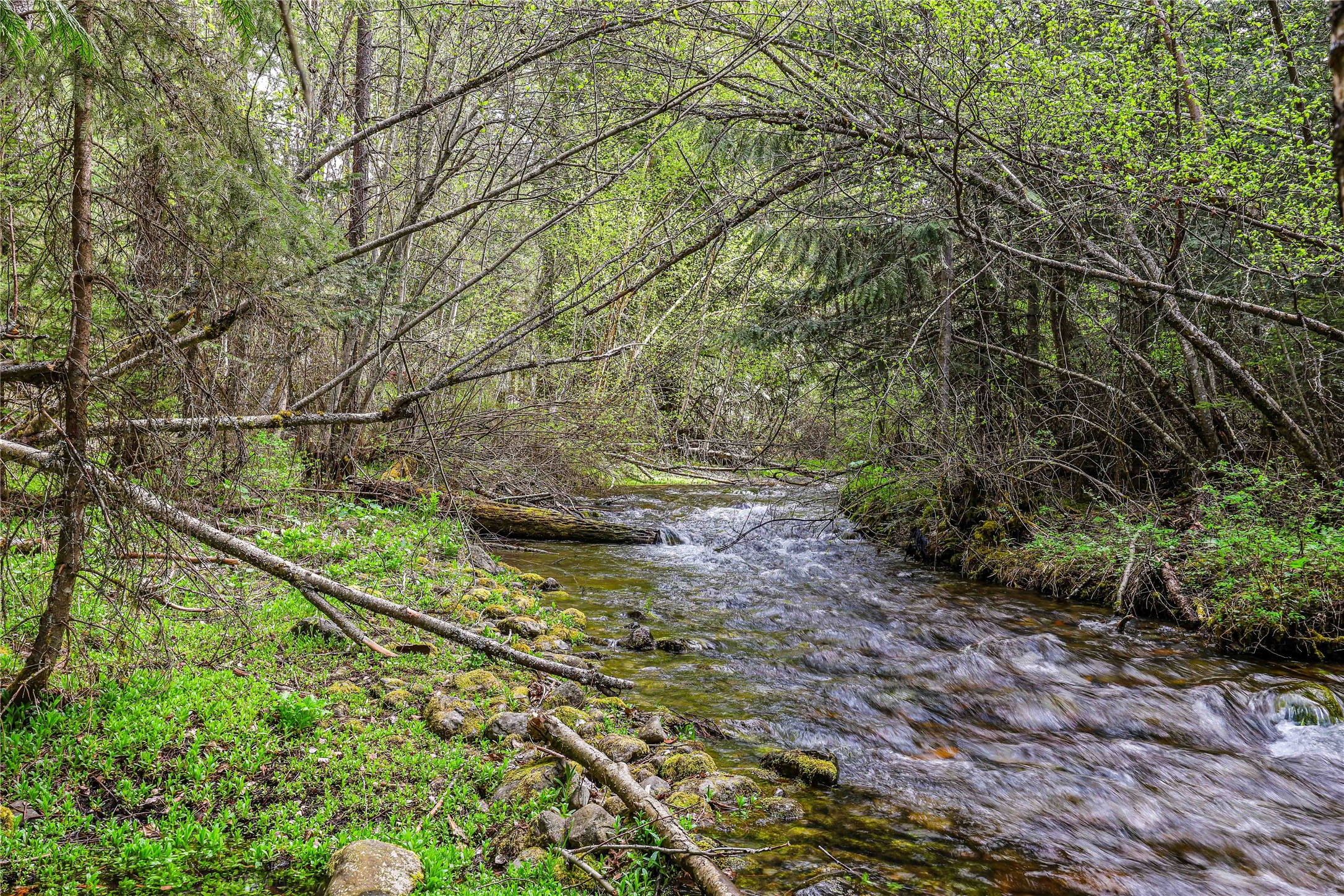 33865 Canyon Mill Road Property Photo 29