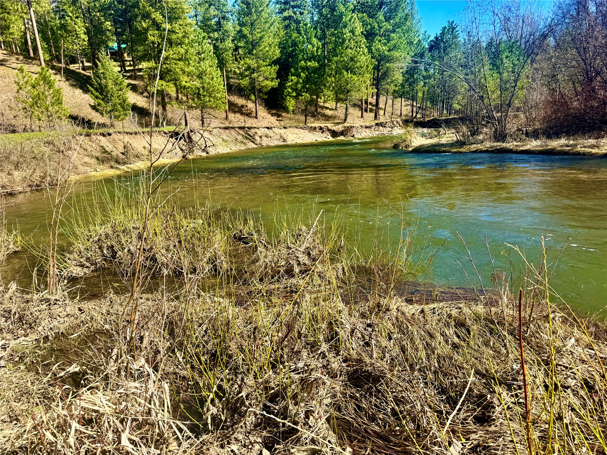 21481 Nine Mile Road Property Photo 3