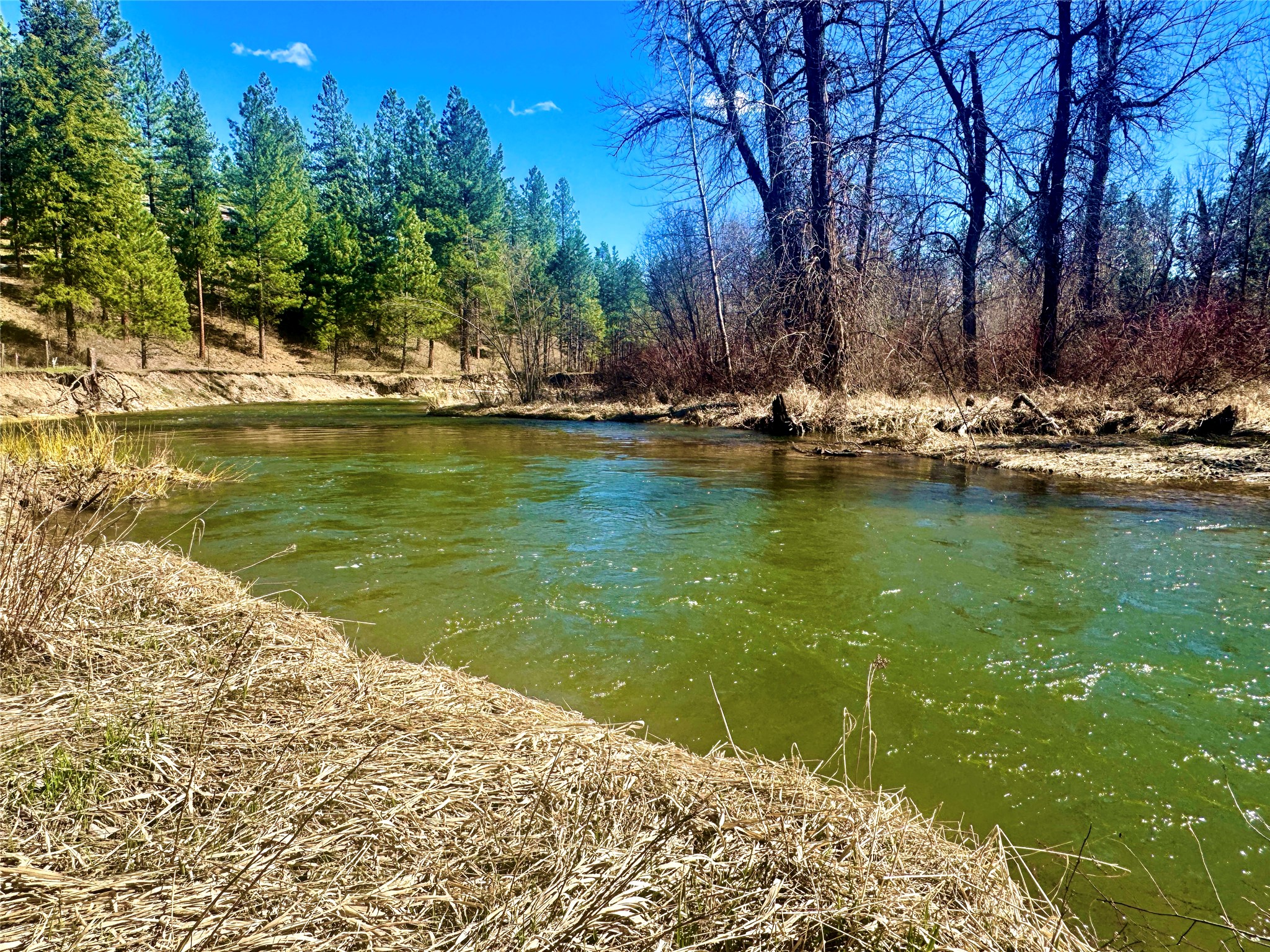 21481 Nine Mile Road Property Photo 4