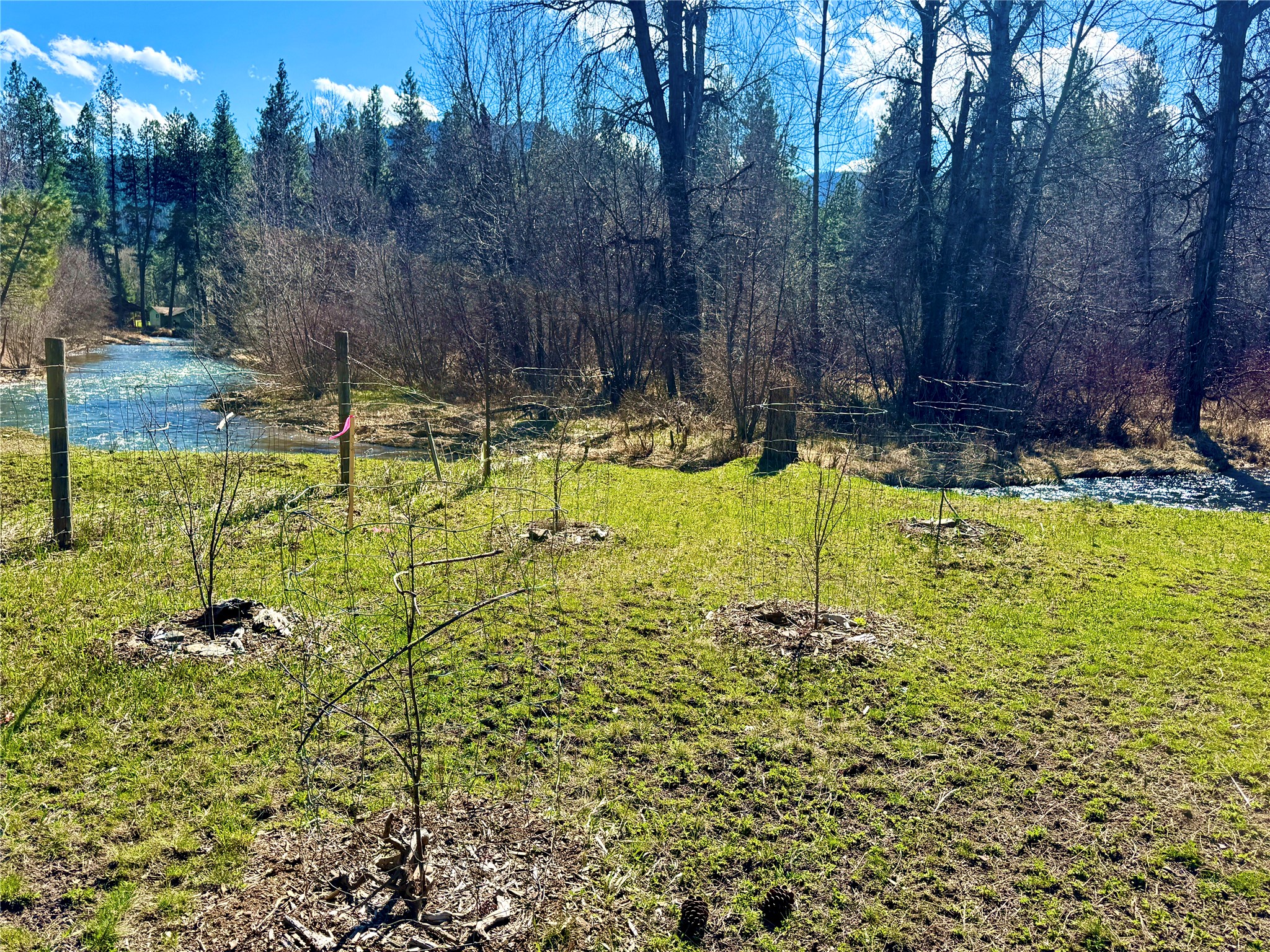 21481 Nine Mile Road Property Photo 6