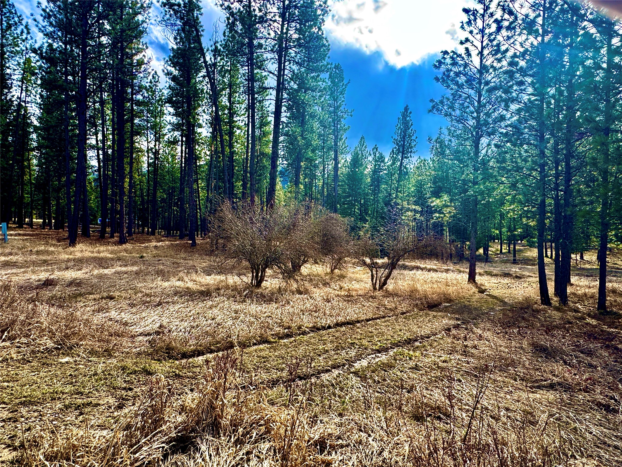 21481 Nine Mile Road Property Photo 8