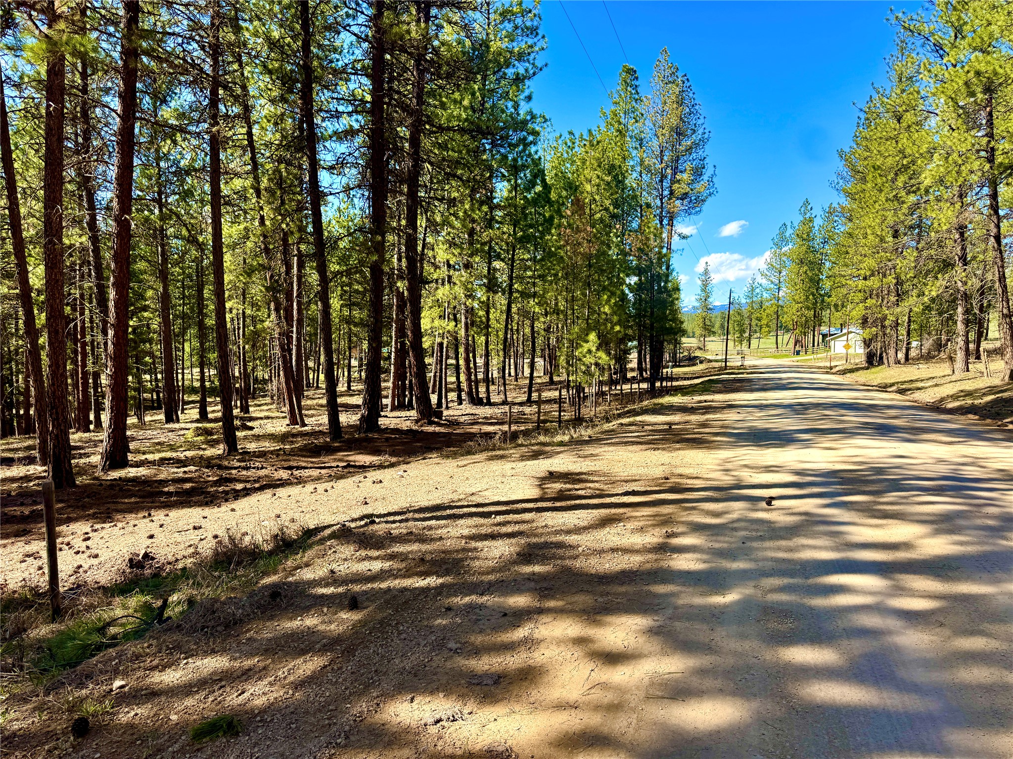 21481 Nine Mile Road Property Photo 9