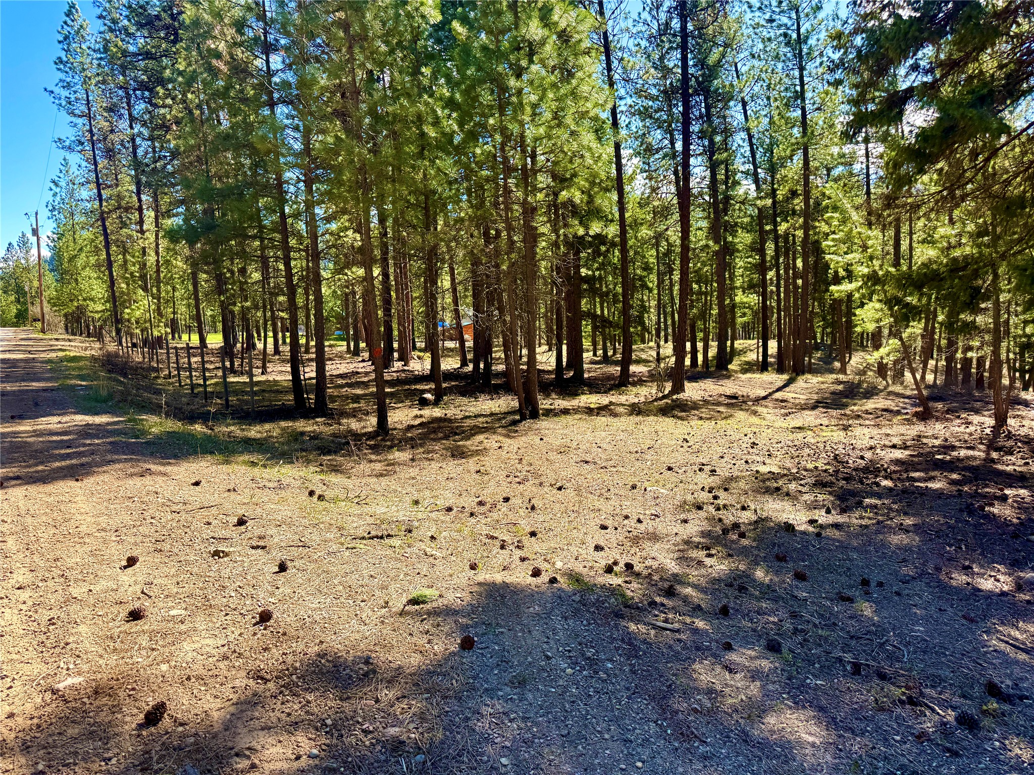 21481 Nine Mile Road Property Photo 10