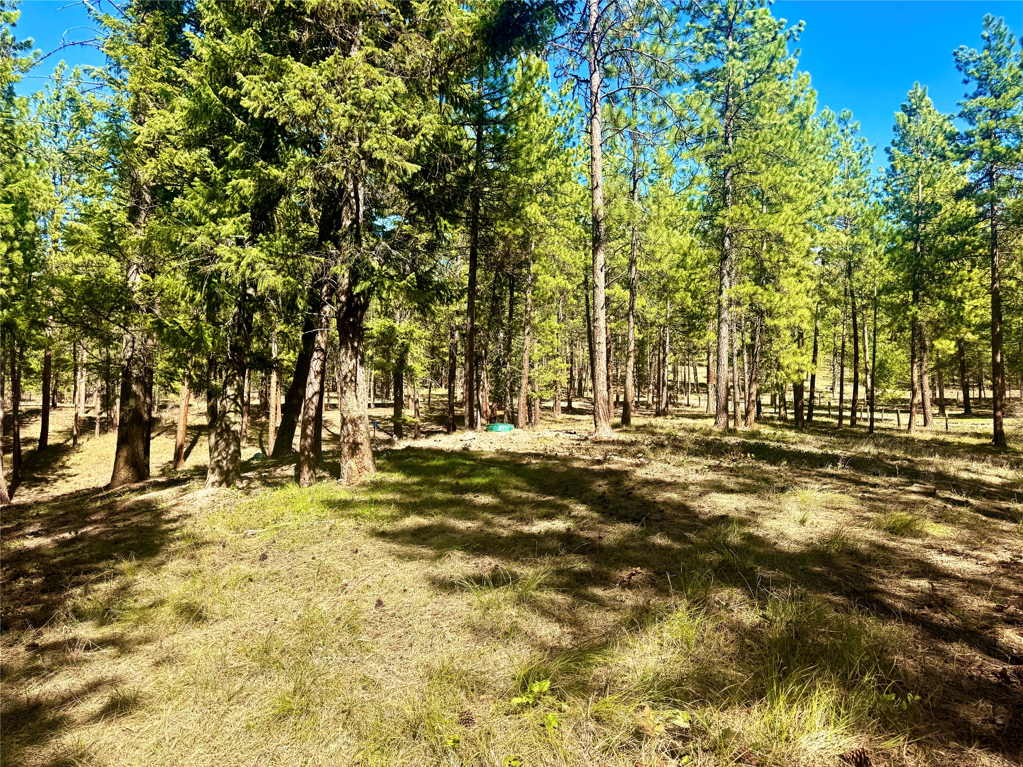 21481 Nine Mile Road Property Photo 11