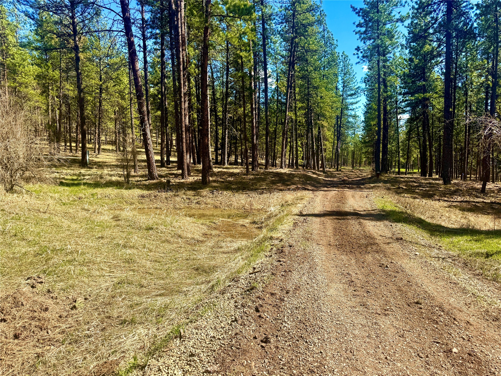 21481 Nine Mile Road Property Photo 12