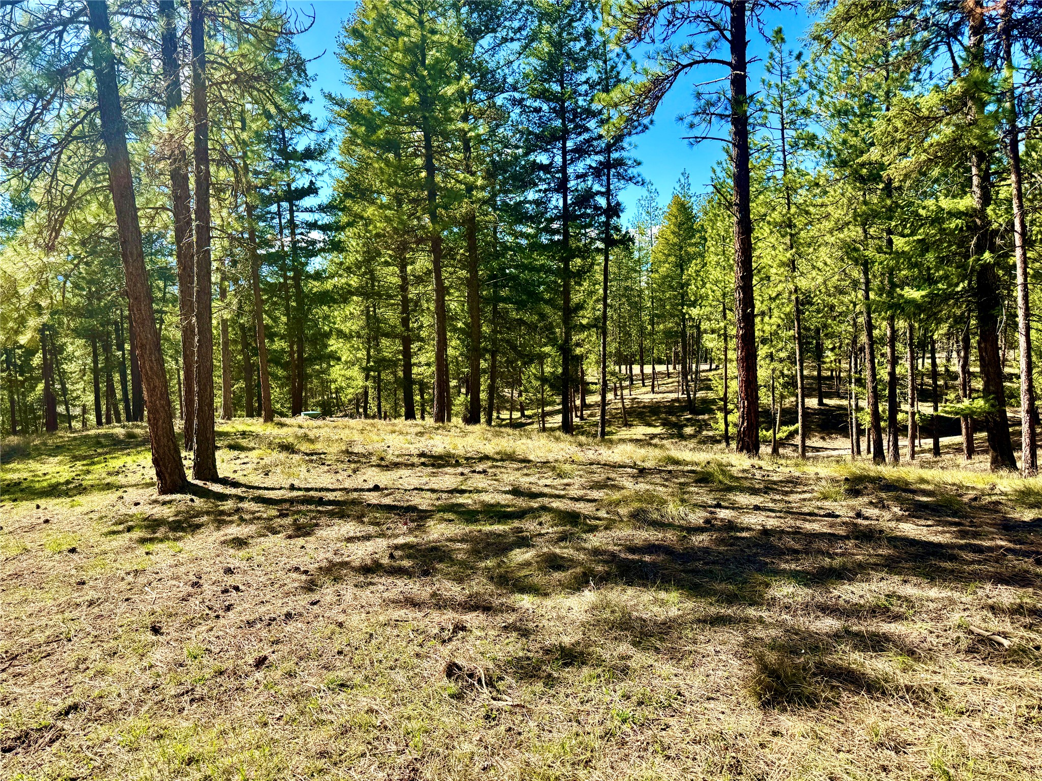 21481 Nine Mile Road Property Photo 13