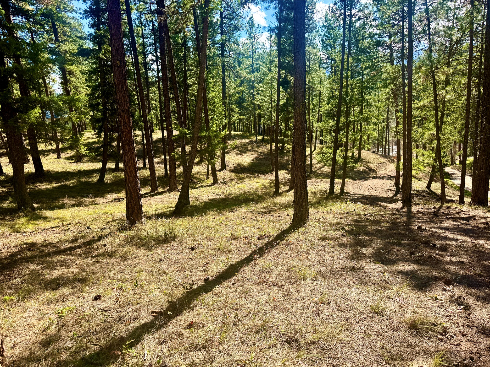 21481 Nine Mile Road Property Photo 14