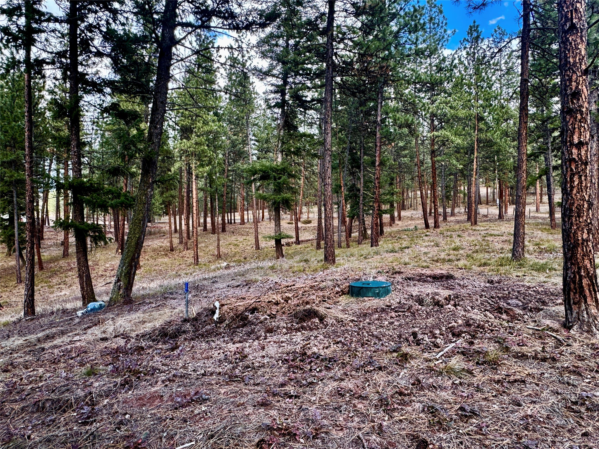 21481 Nine Mile Road Property Photo 15