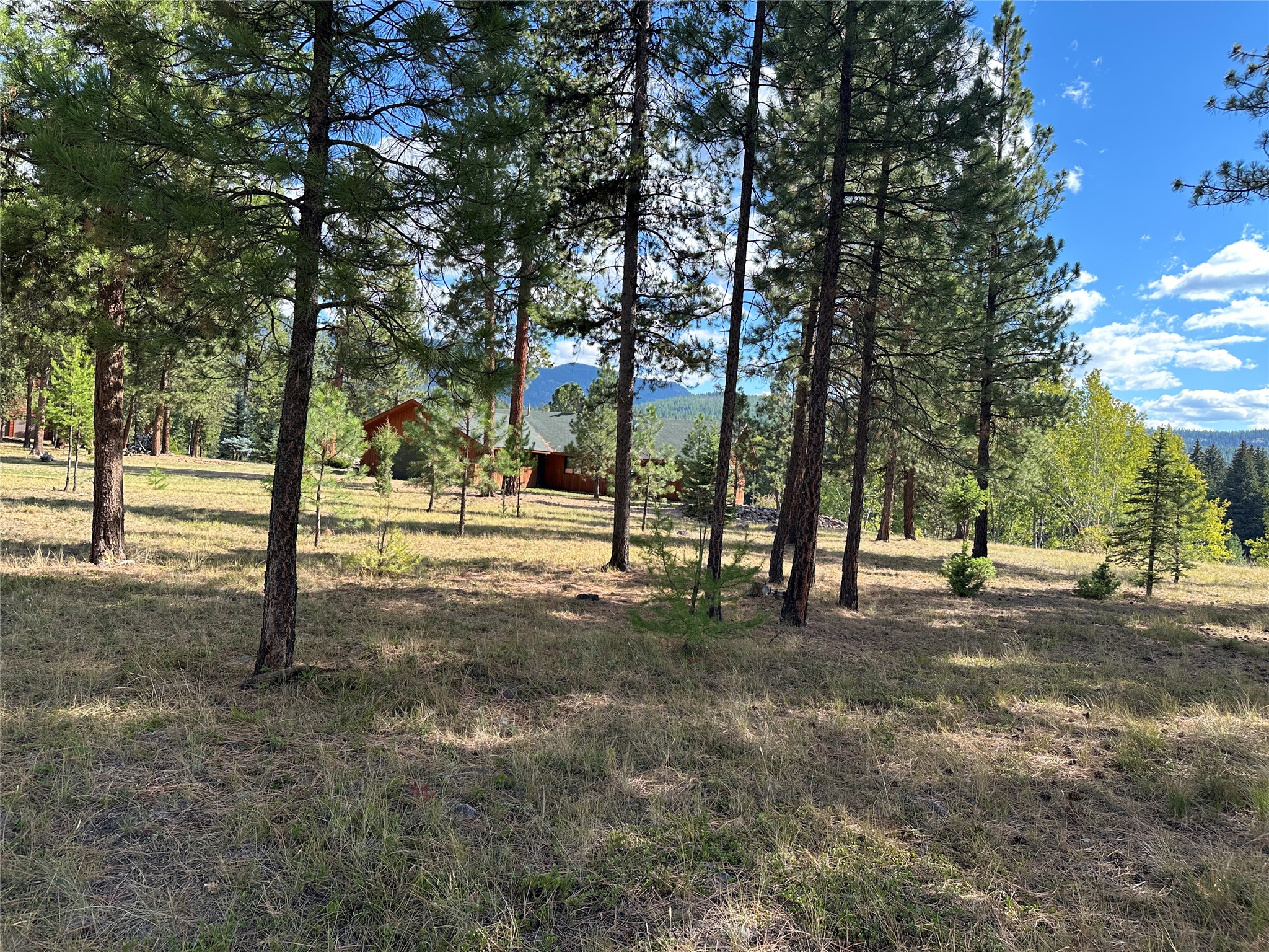 975 Whitetail Drive Property Photo 31