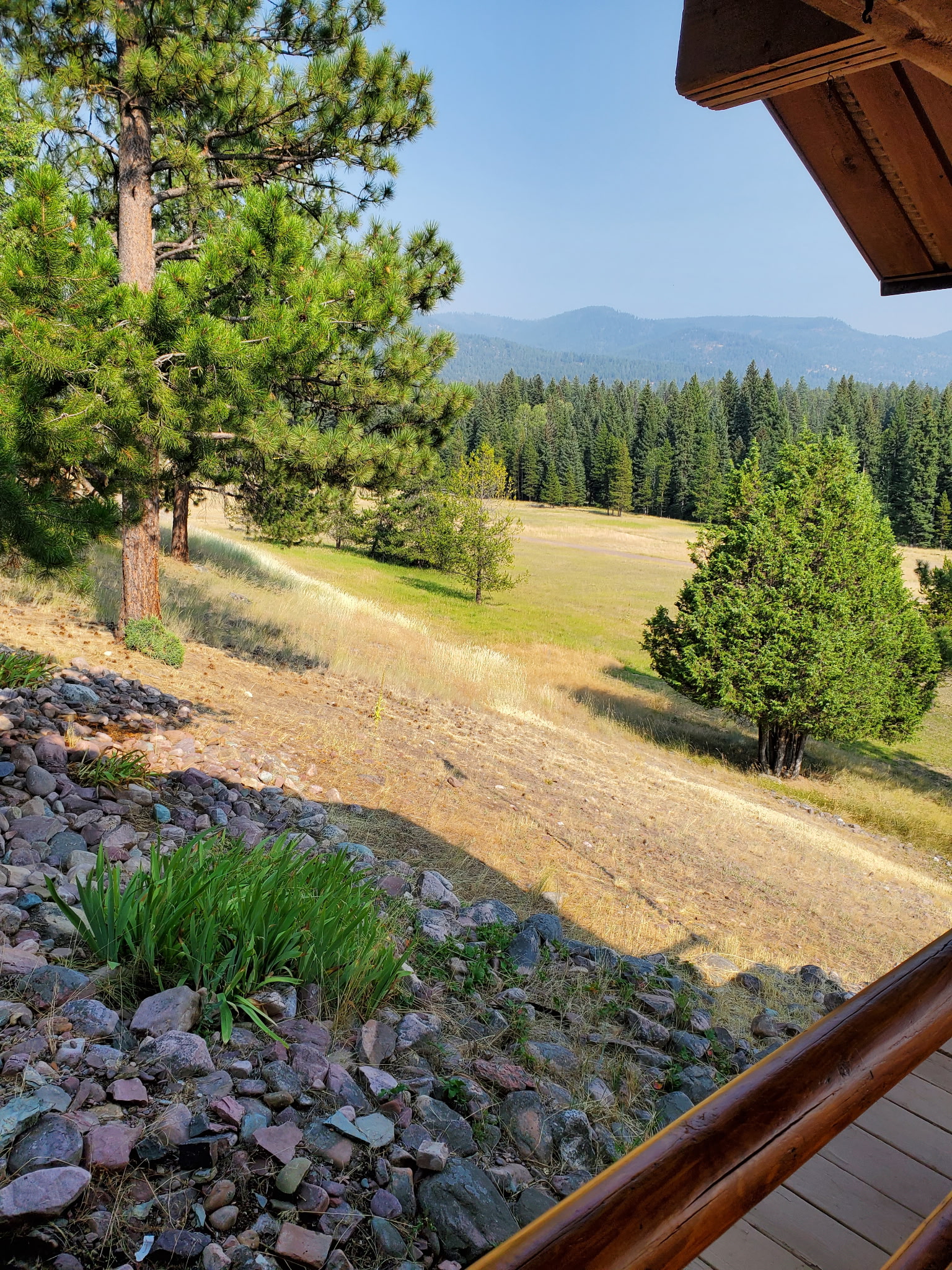 975 Whitetail Drive Property Photo 46