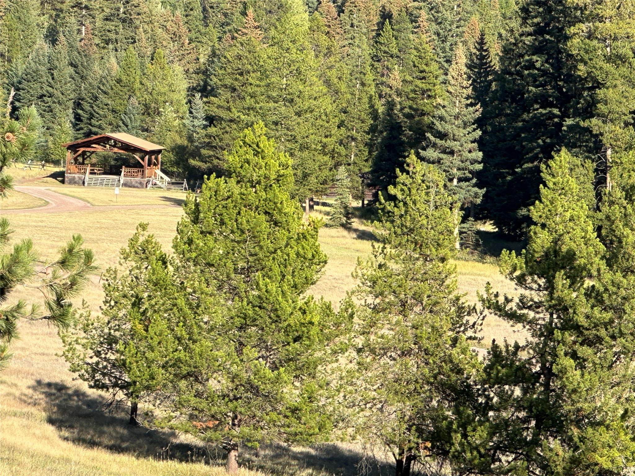 975 Whitetail Drive Property Photo 48