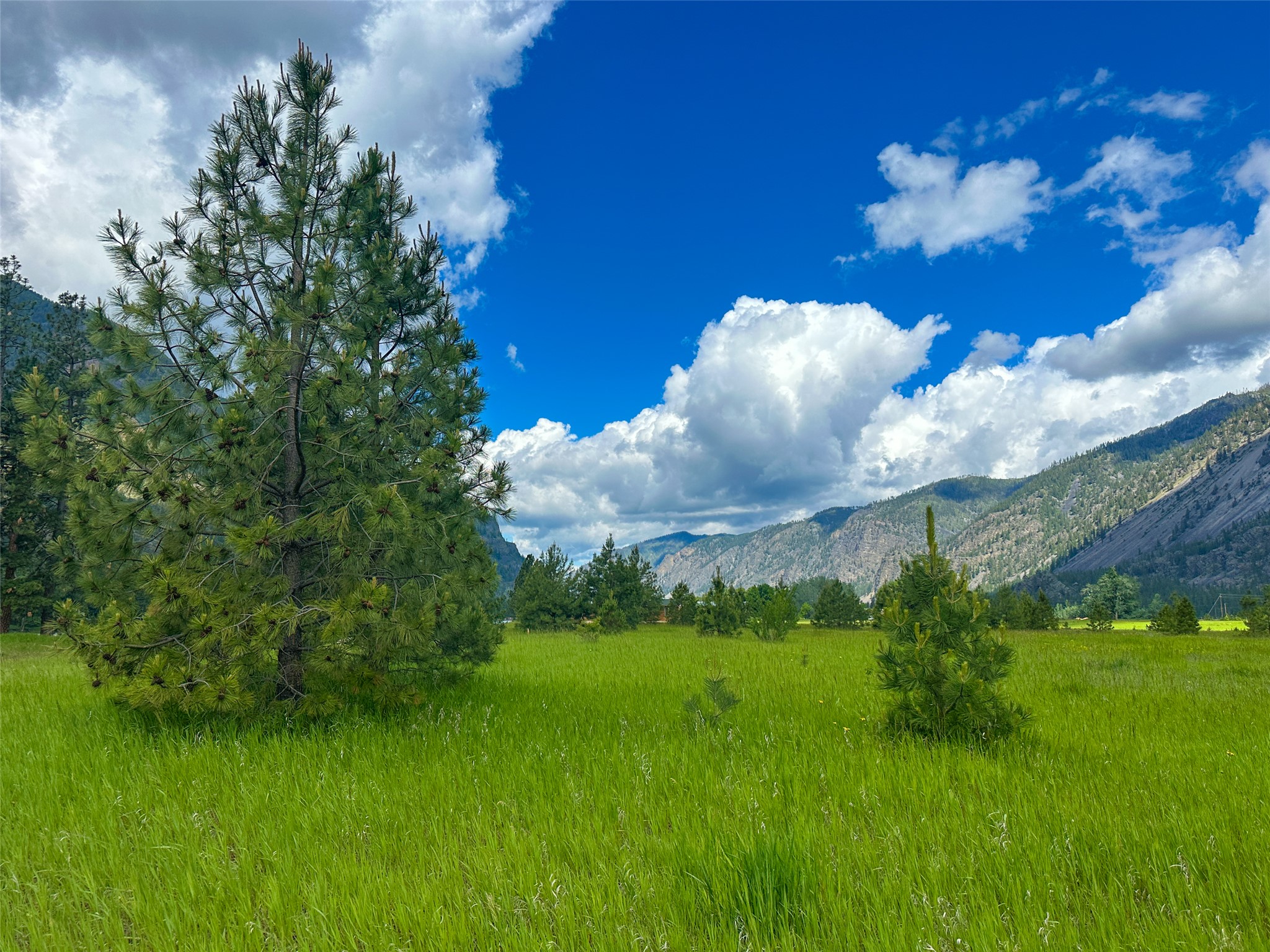 20 Eddy Flat Lane Property Photo 8