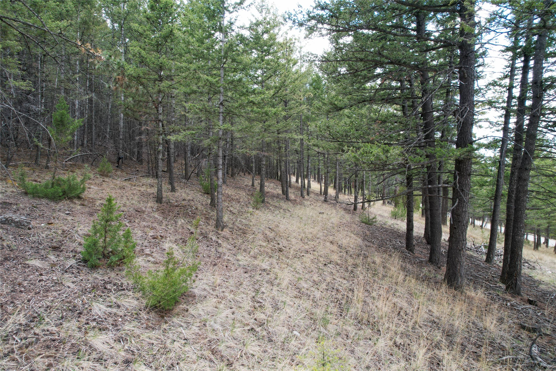 291 S Hills Road Property Photo 4