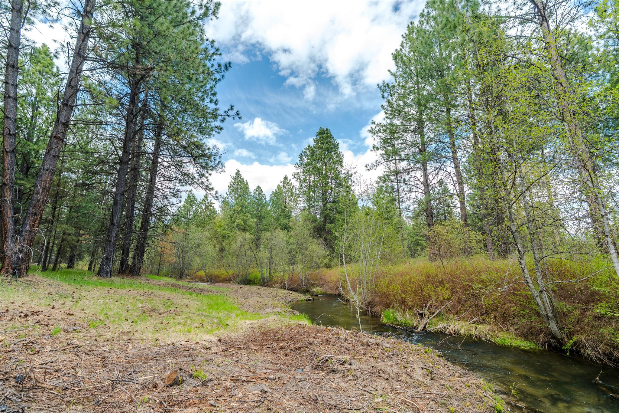 Tbd Hines Road Property Photo 3