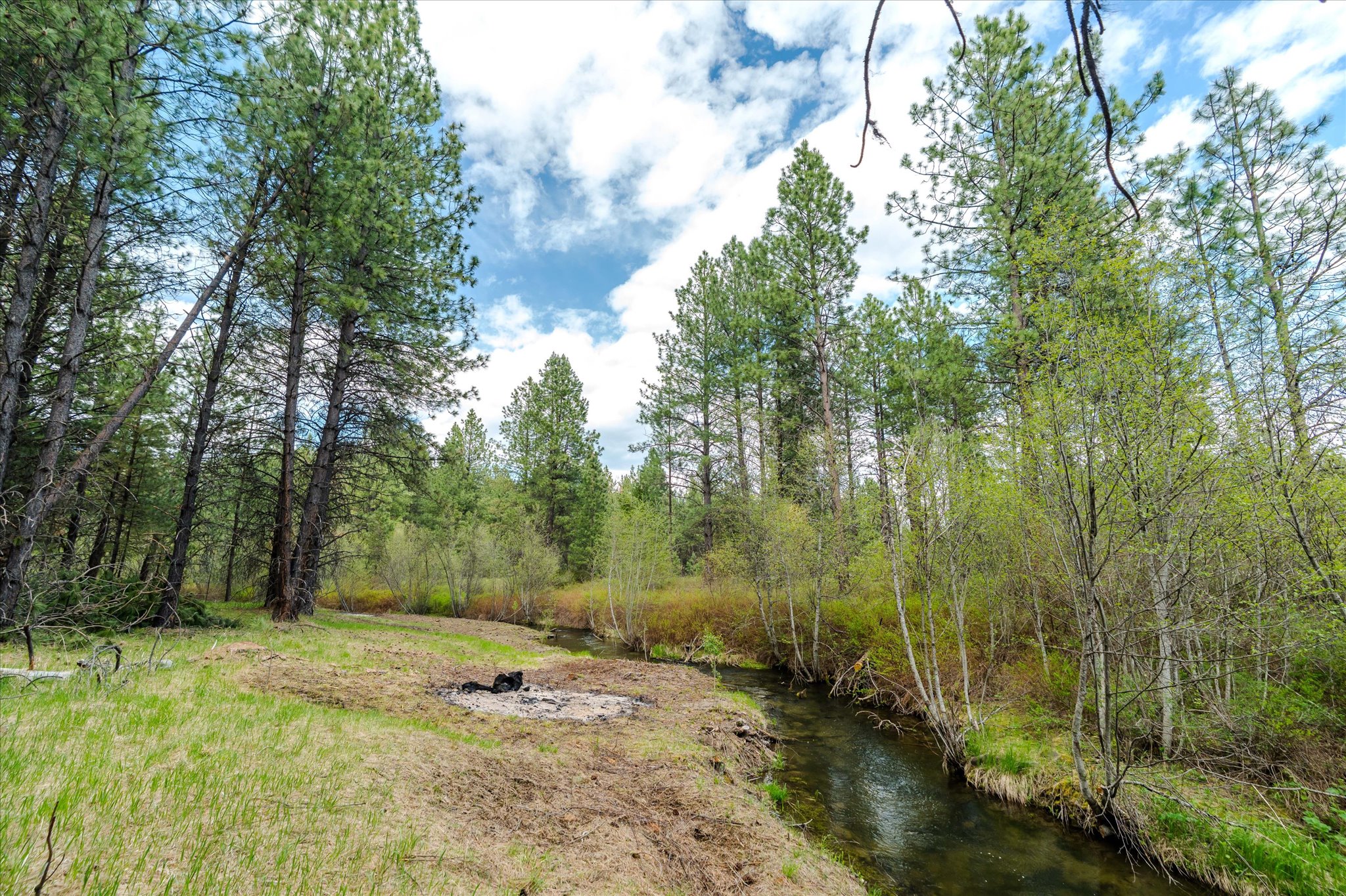 Tbd Hines Road Property Photo 4