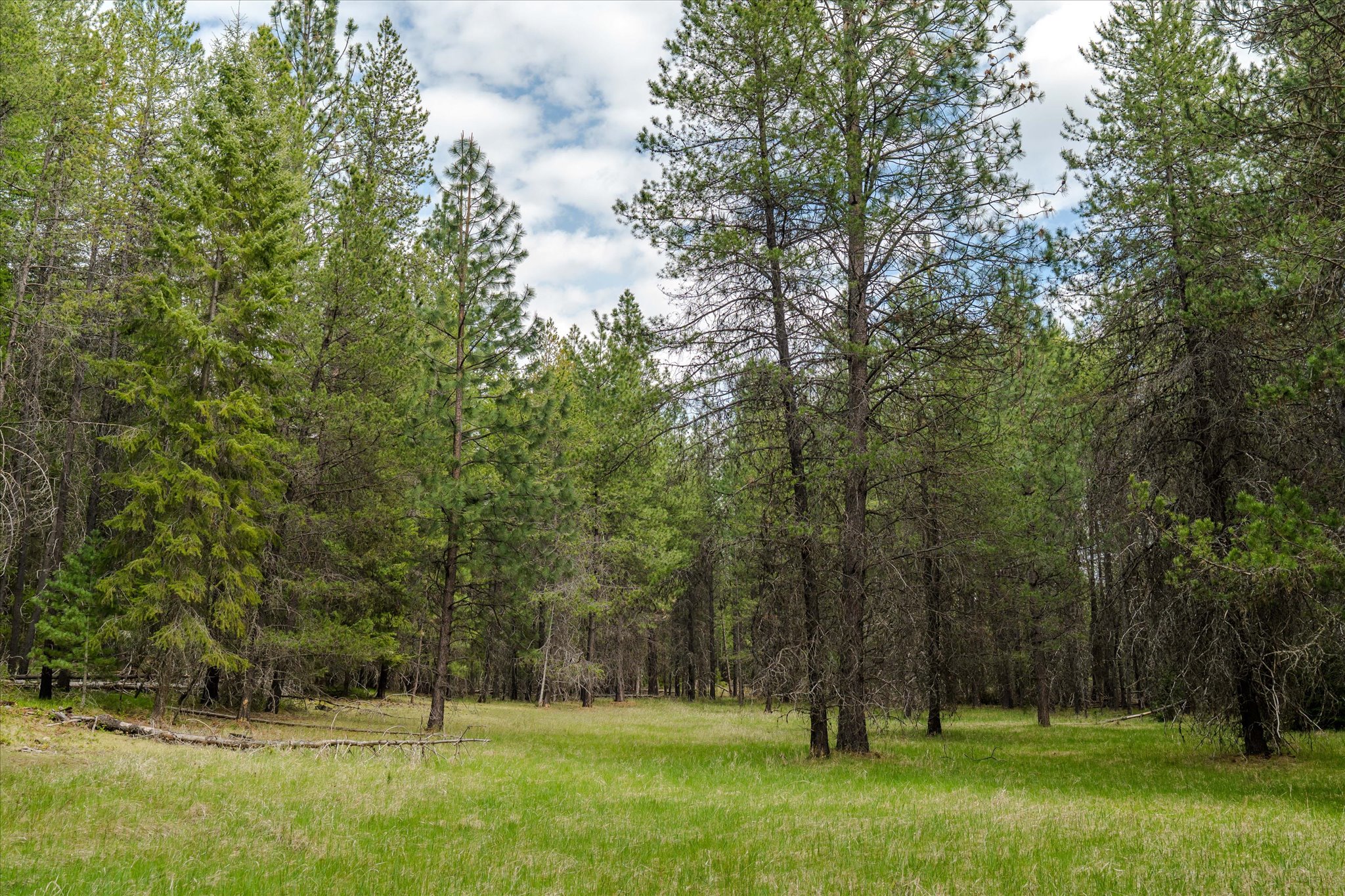 Tbd Hines Road Property Photo 6