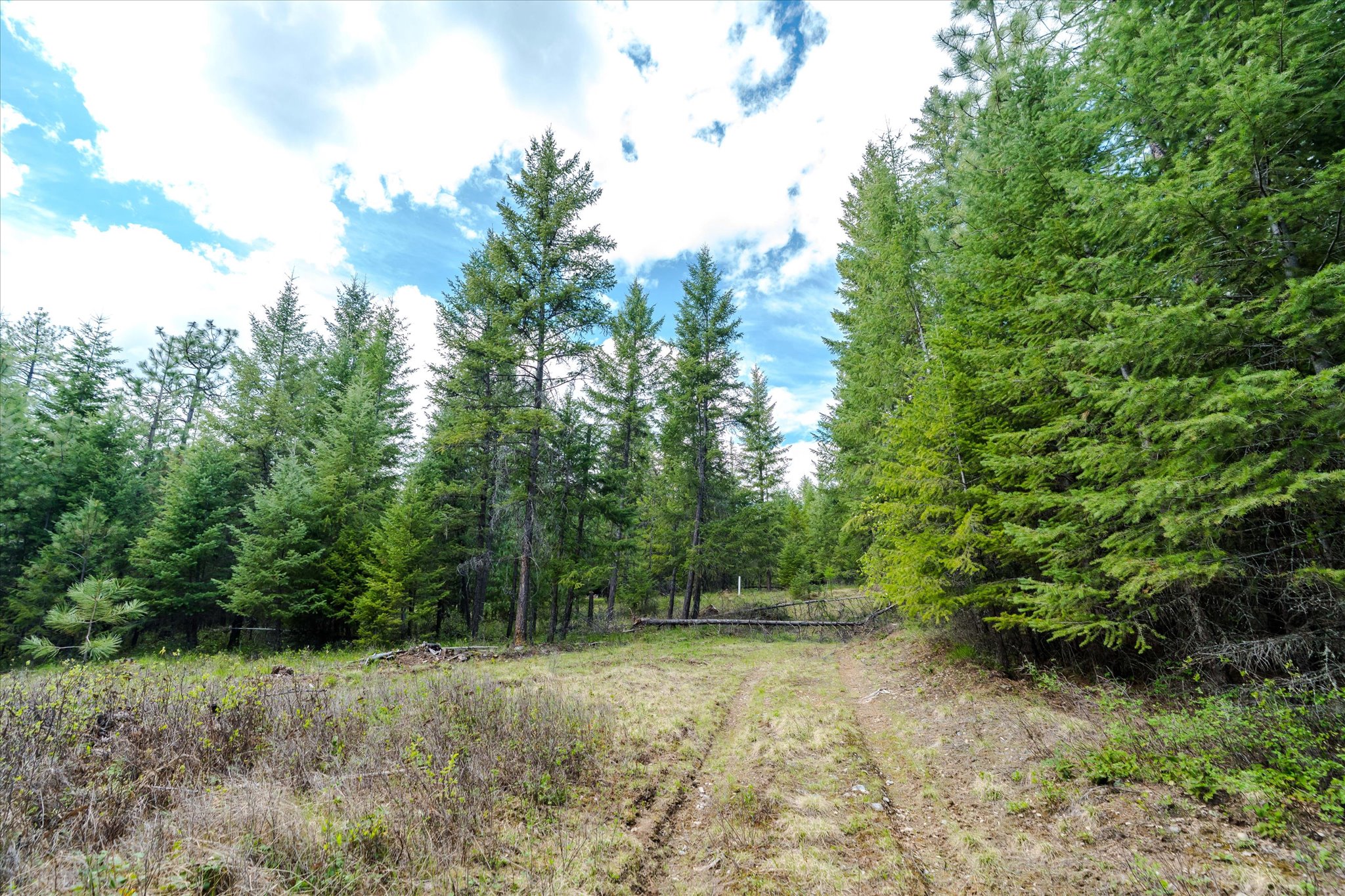 Tbd Hines Road Property Photo 8