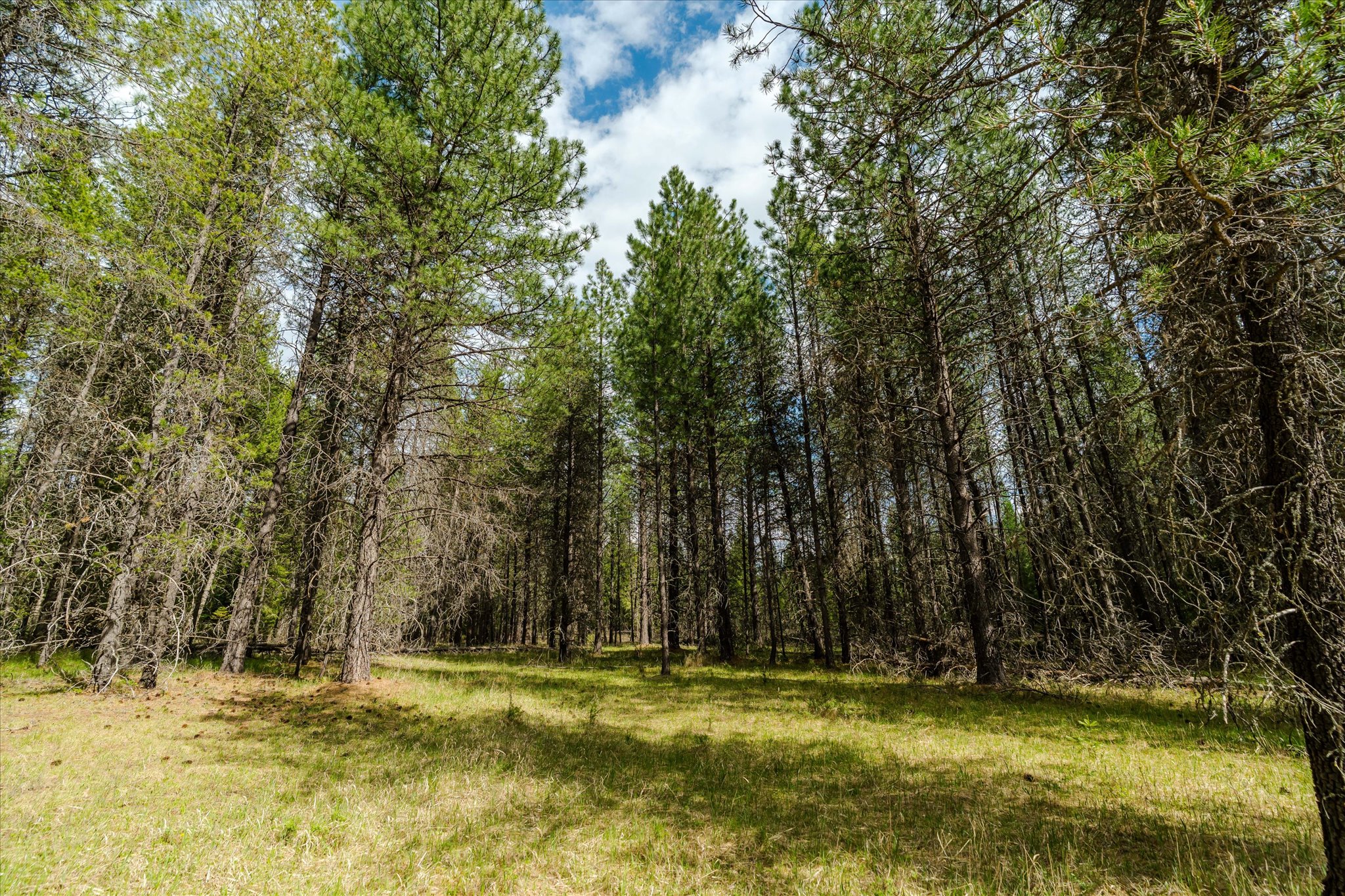 Tbd Hines Road Property Photo 14