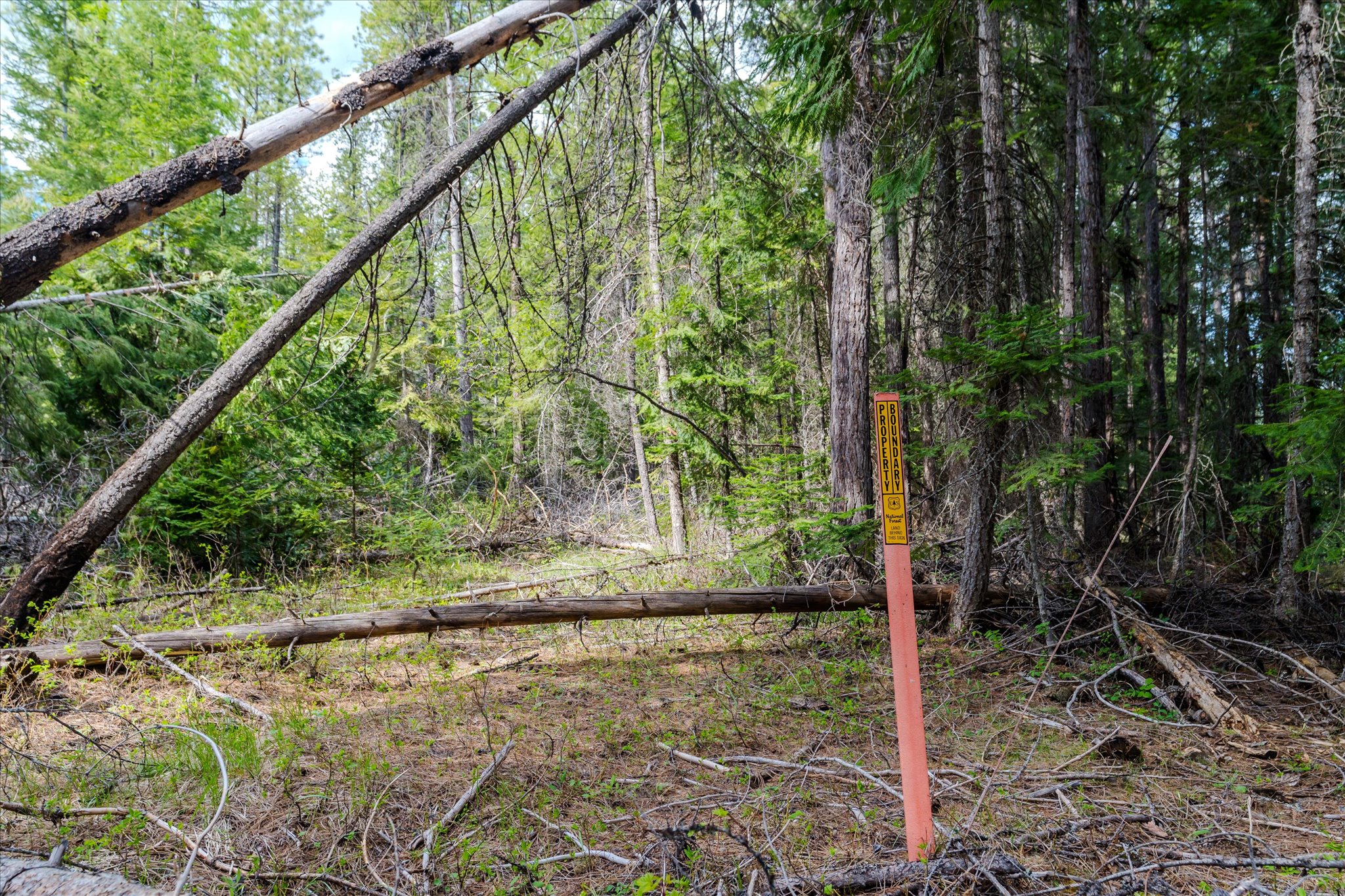 Tbd Hines Road Property Photo 16