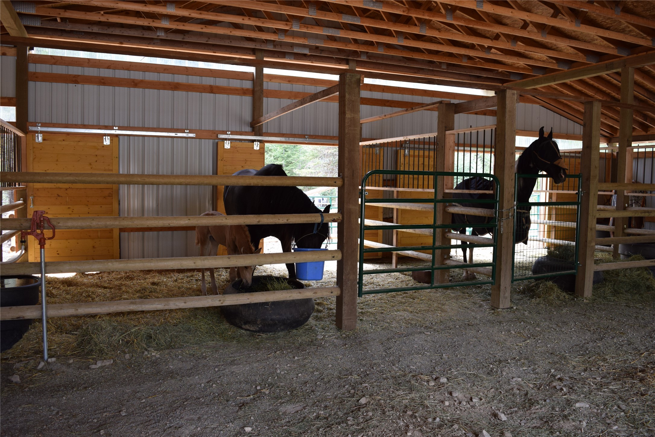4193 Quartz Creek Road Property Photo 40