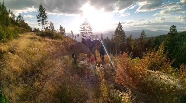 4193 Quartz Creek Road Property Photo 55