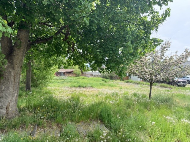 240 Daly Avenue Property Photo 1