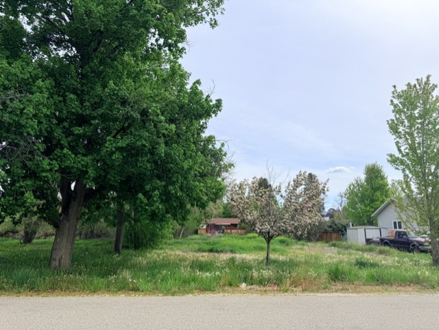 240 Daly Avenue Property Photo 2