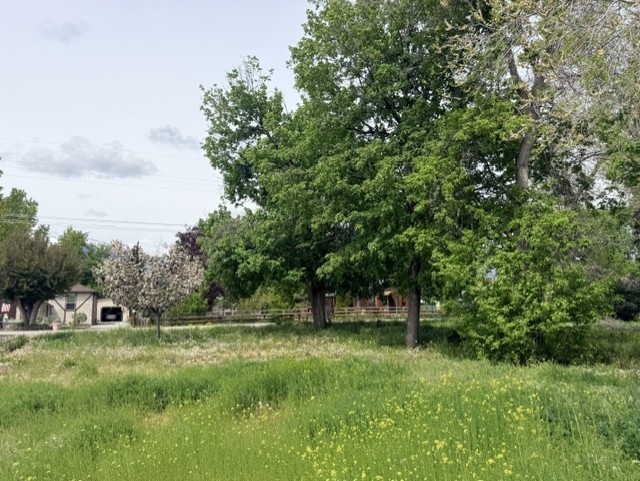 240 Daly Avenue Property Photo 3