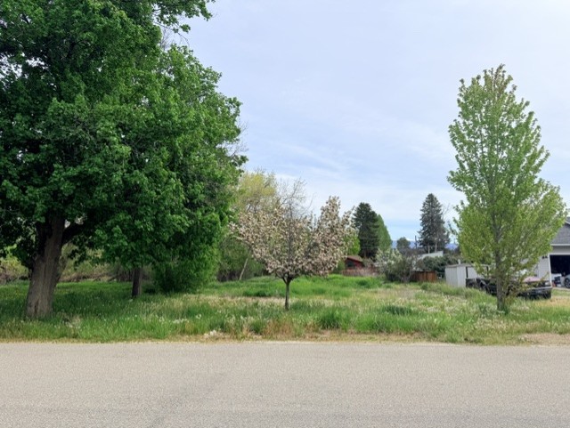 240 Daly Avenue Property Photo 4