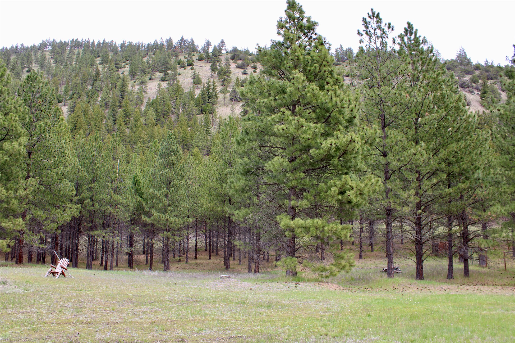 Nhn Sleeman Creek Road Property Photo 1