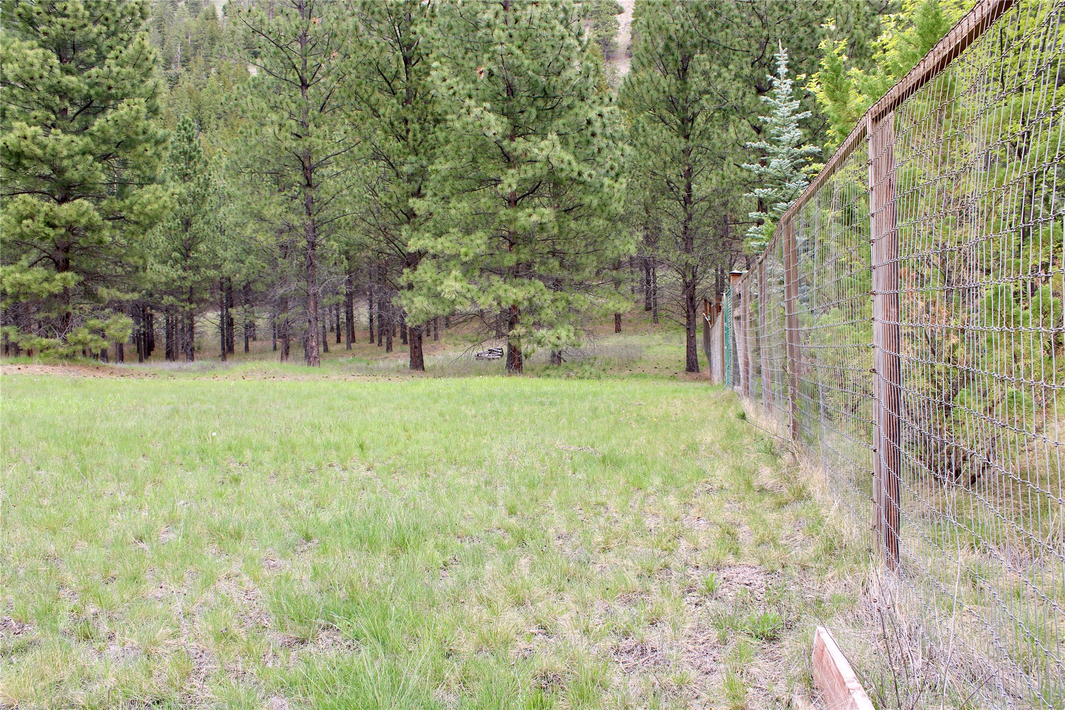 Nhn Sleeman Creek Road Property Photo 4