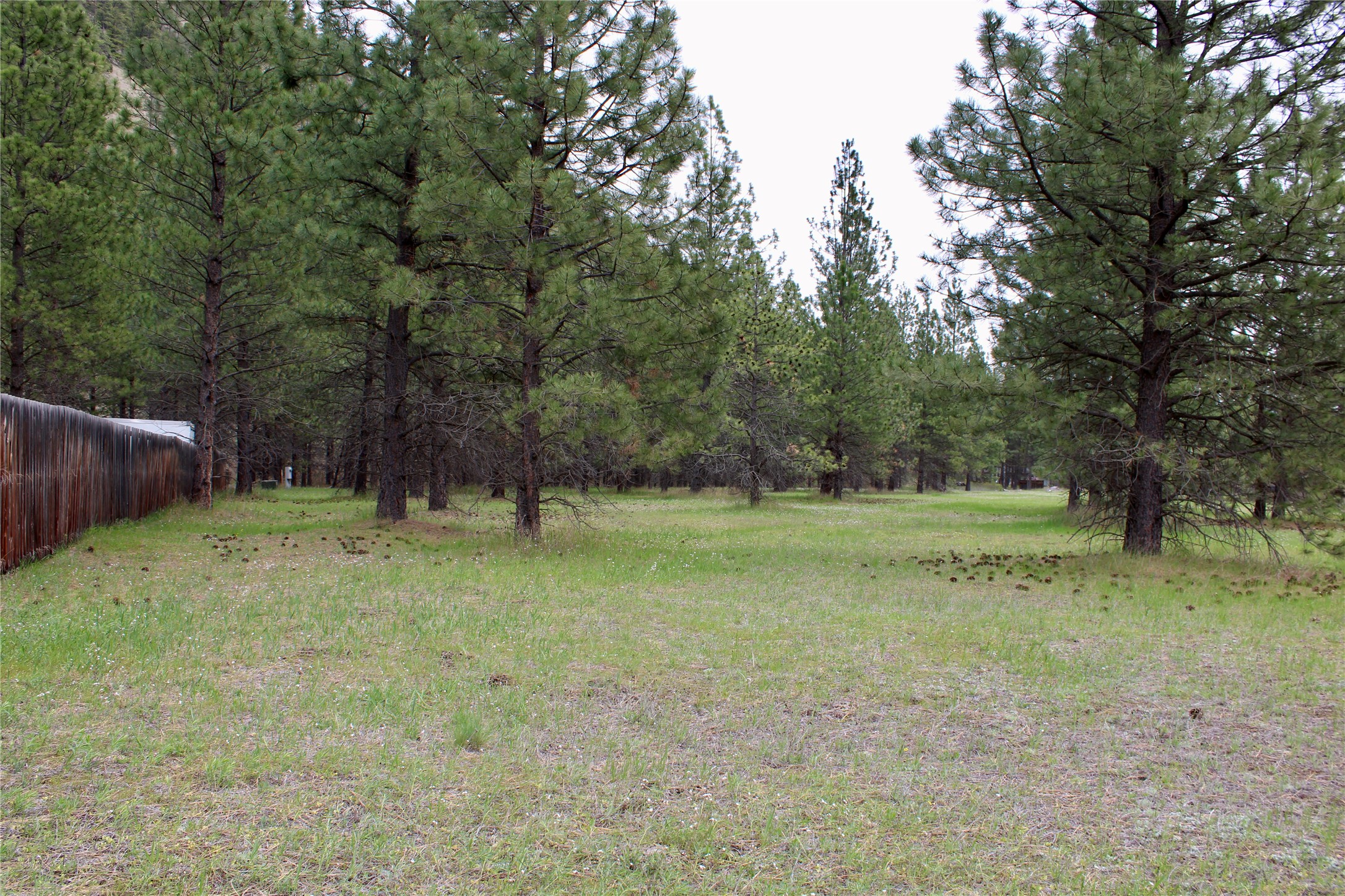 Nhn Sleeman Creek Road Property Photo 6