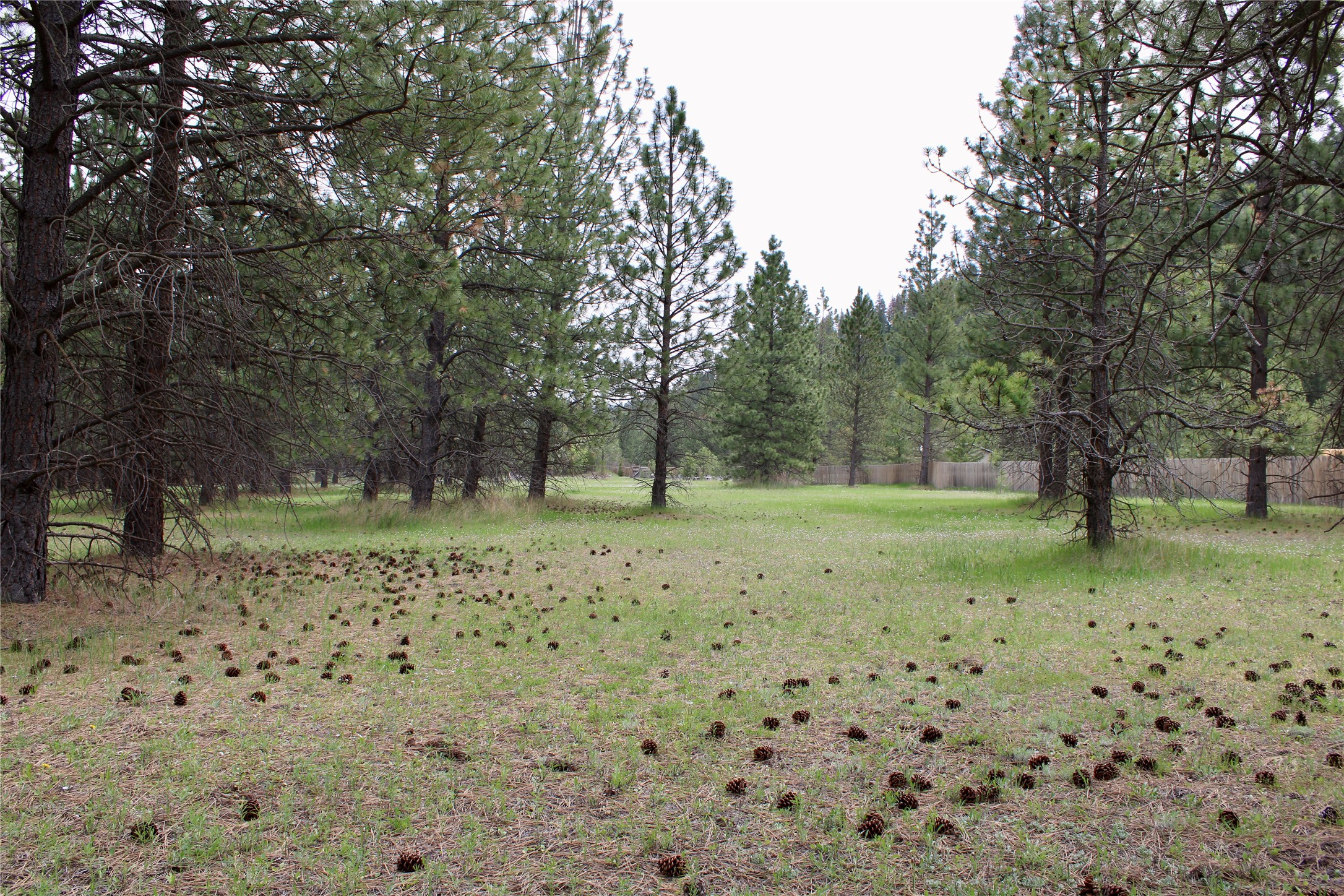 Nhn Sleeman Creek Road Property Photo 8