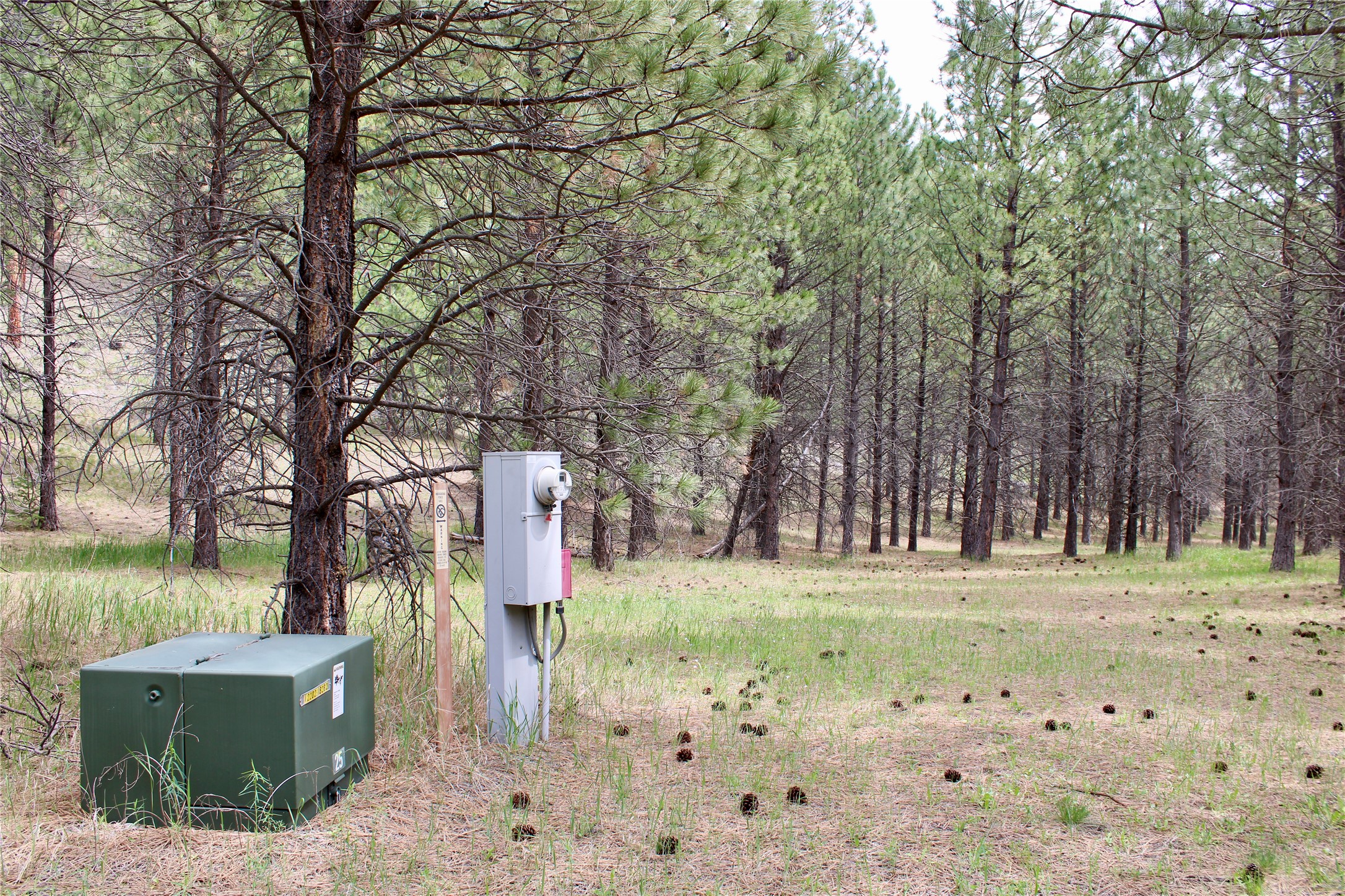 Nhn Sleeman Creek Road Property Photo 10