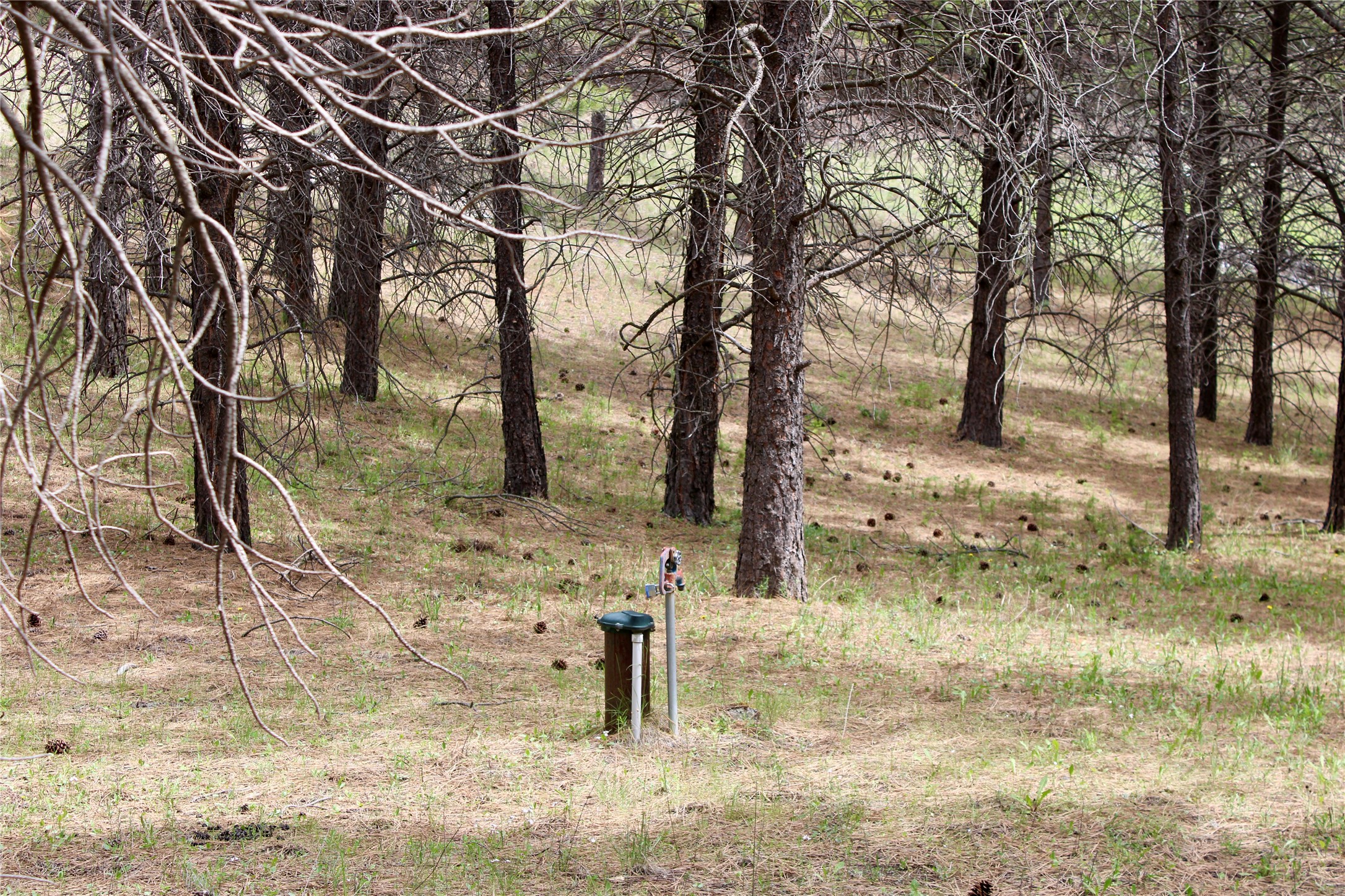 Nhn Sleeman Creek Road Property Photo 11
