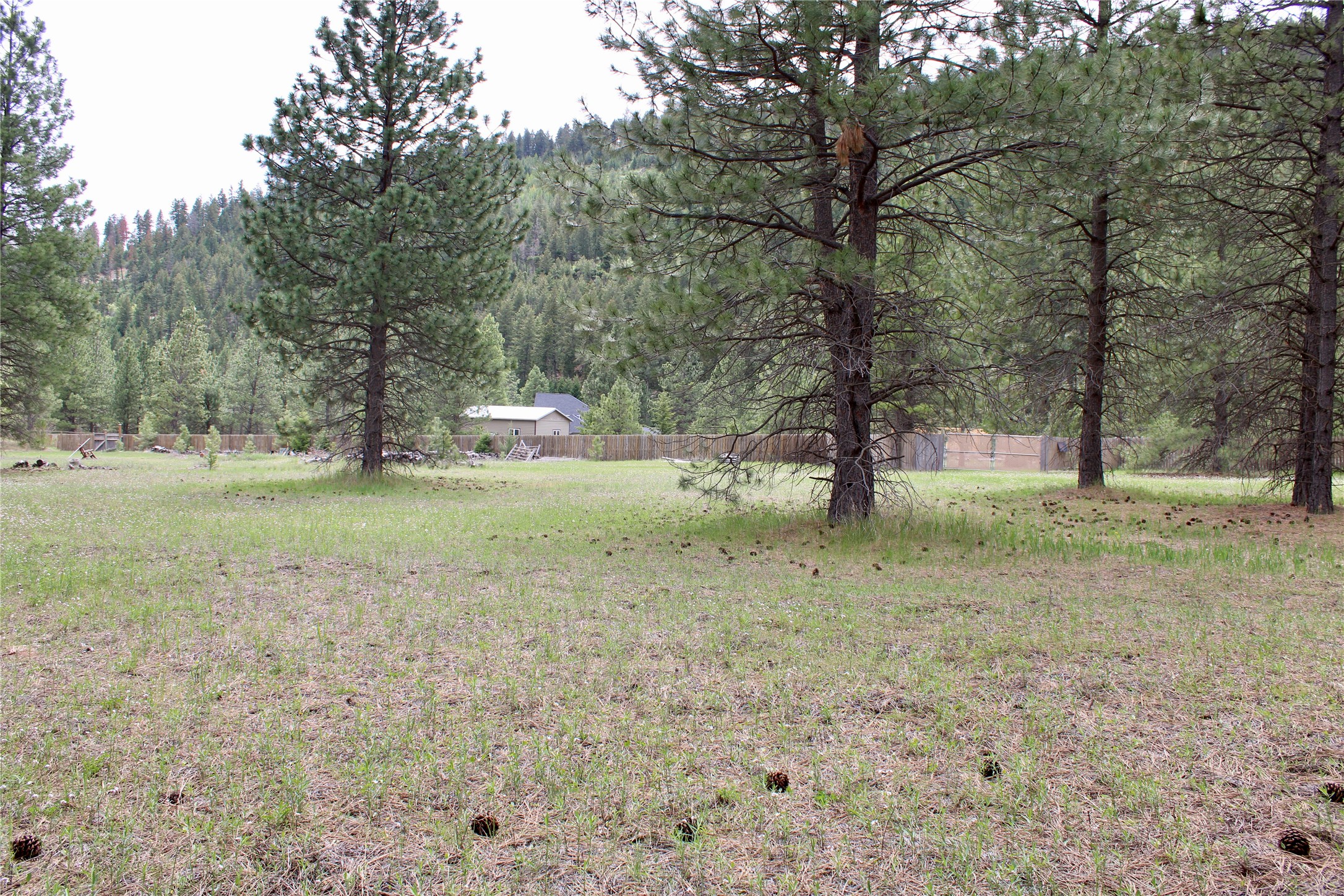 Nhn Sleeman Creek Road Property Photo 12