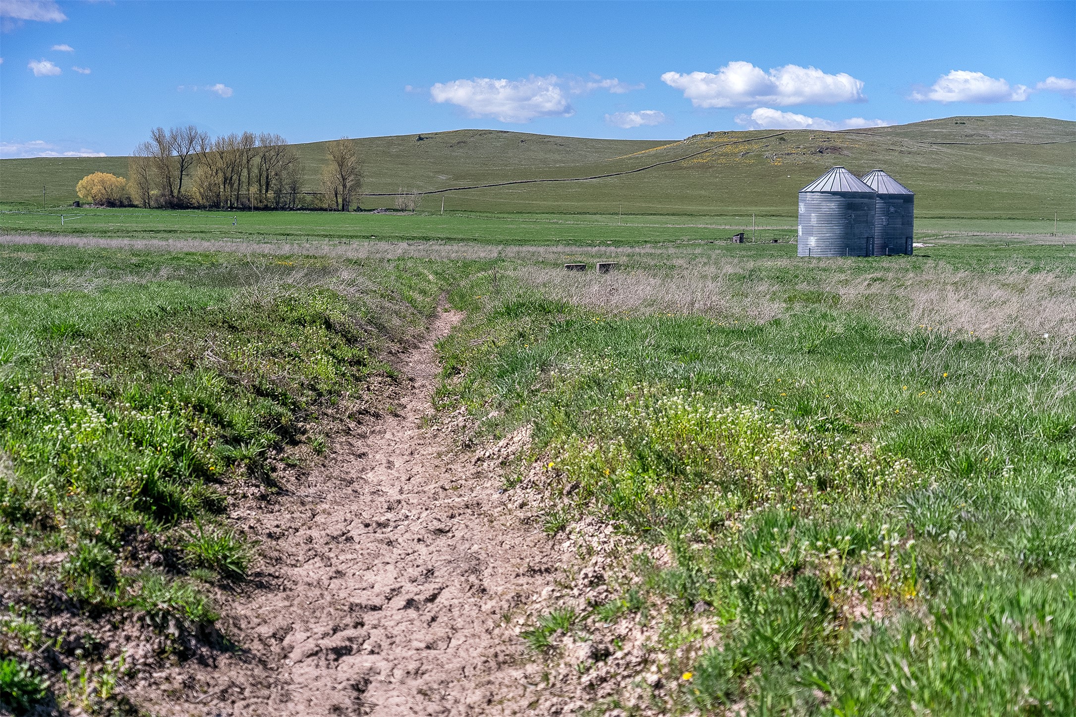 Nhn Rolling Road Property Photo 14