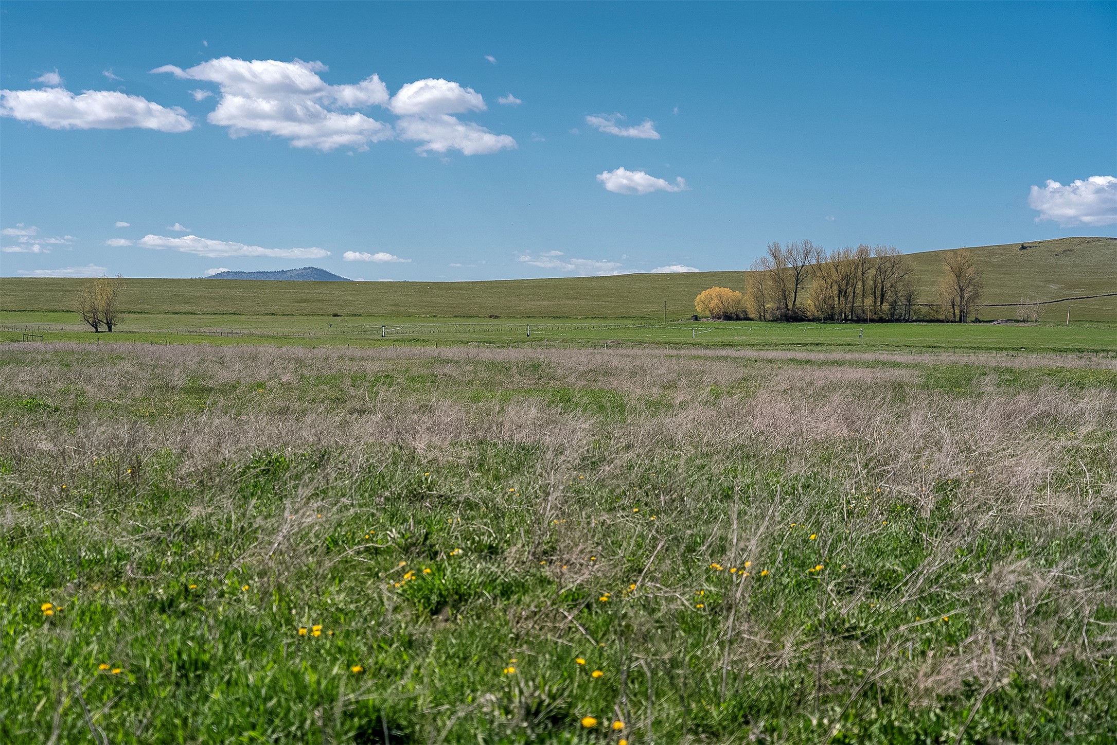 Nhn Rolling Road Property Photo 16