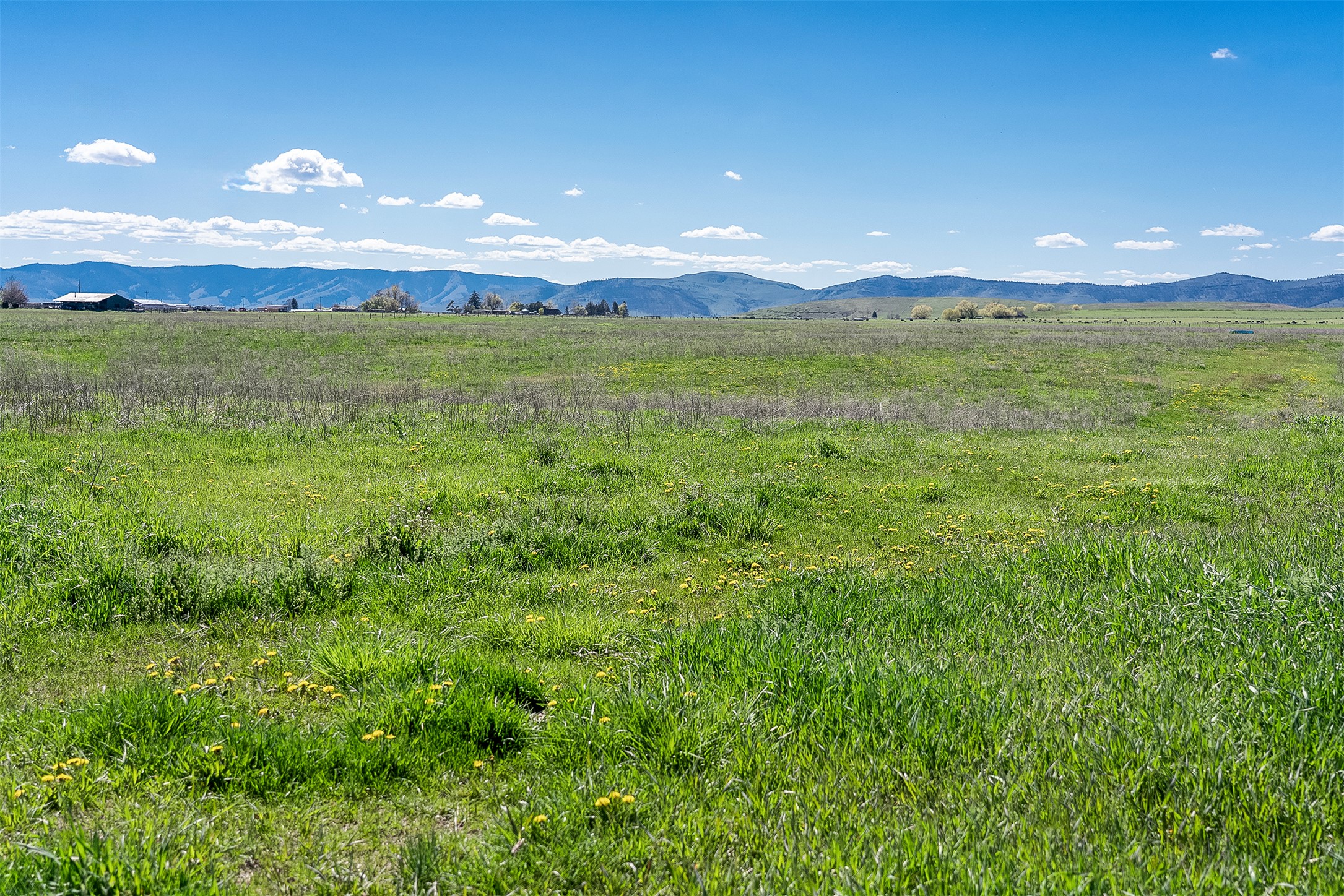 Nhn Rolling Road Property Photo 17