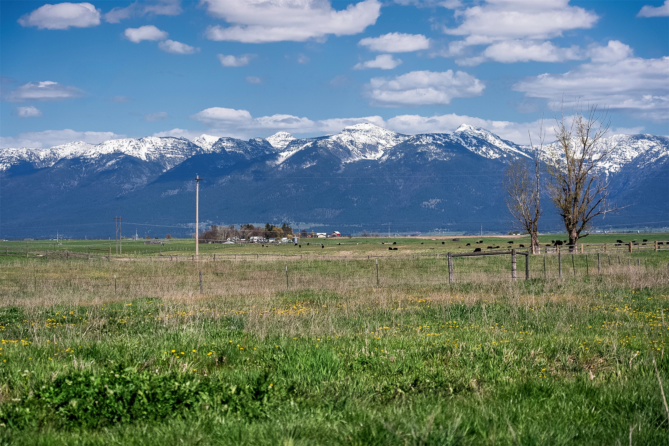 Nhn Rolling Road Property Photo 18