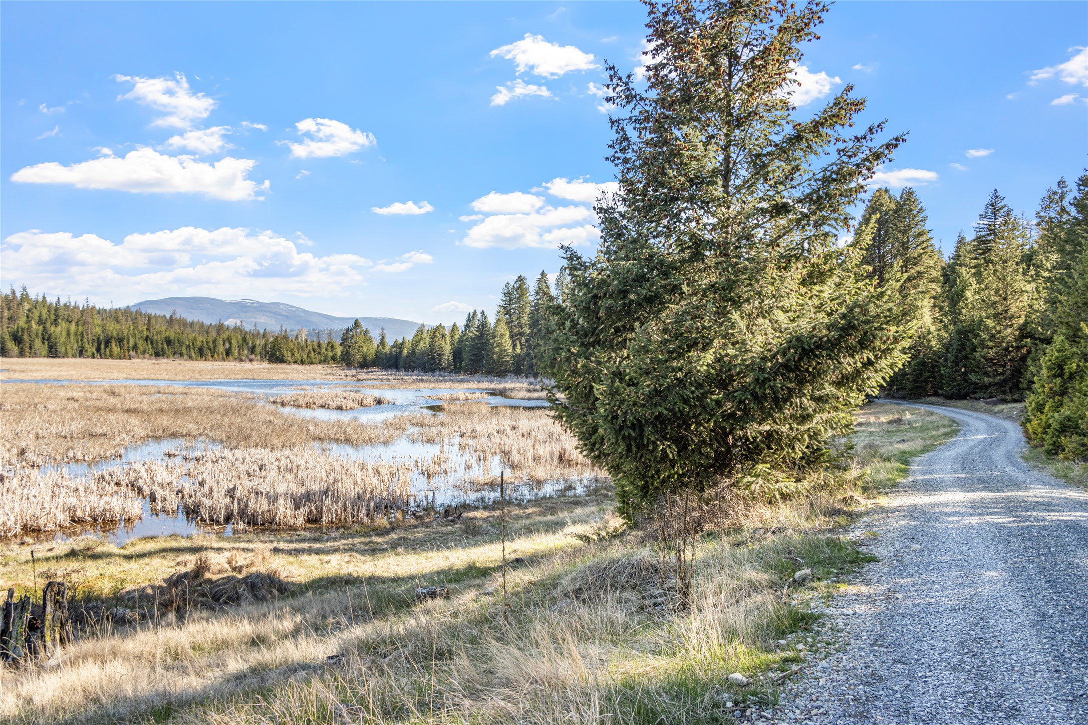 1500 Hodge Creek Road Property Photo 60